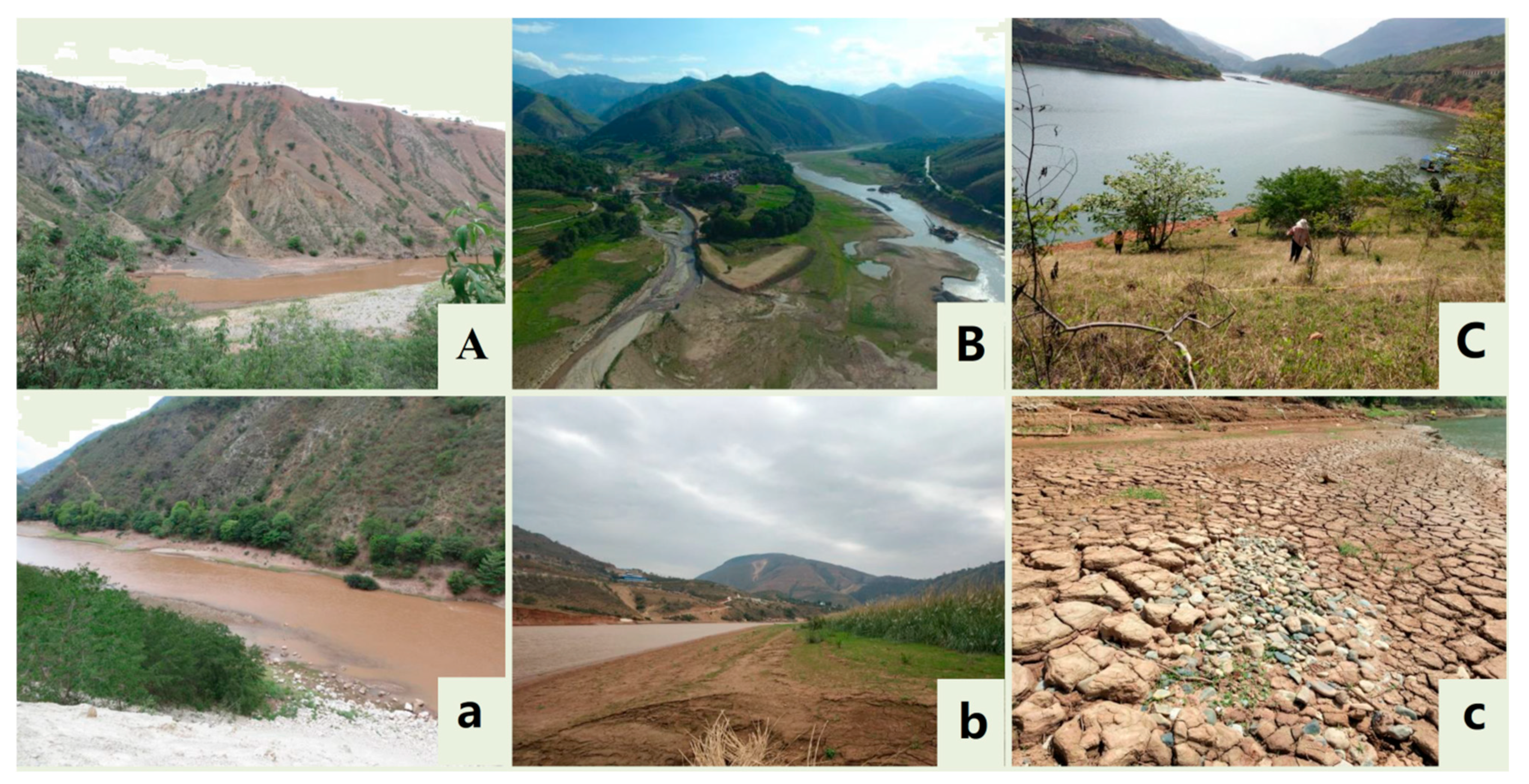 Diversity 16 00703 g001