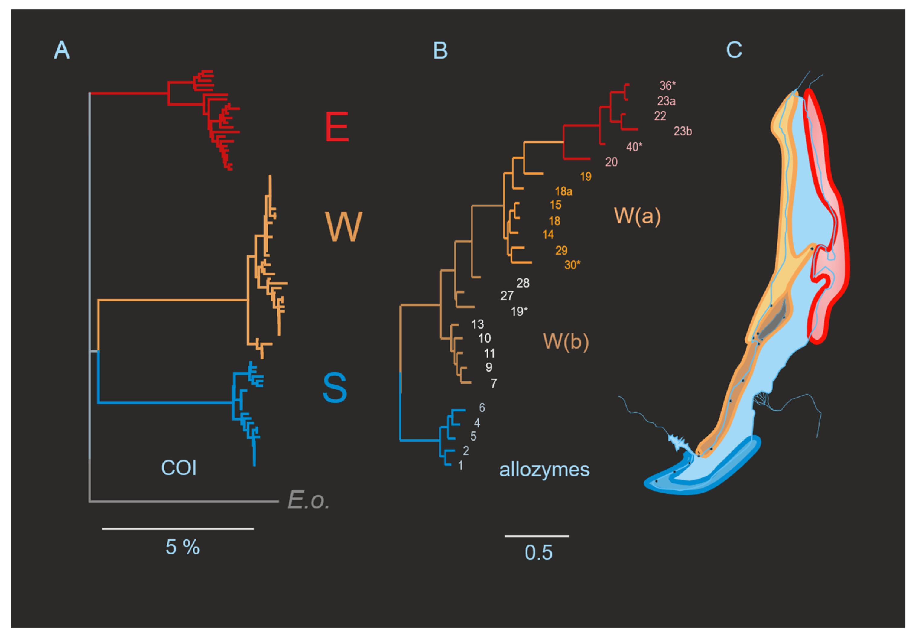 Diversity 16 00706 g003