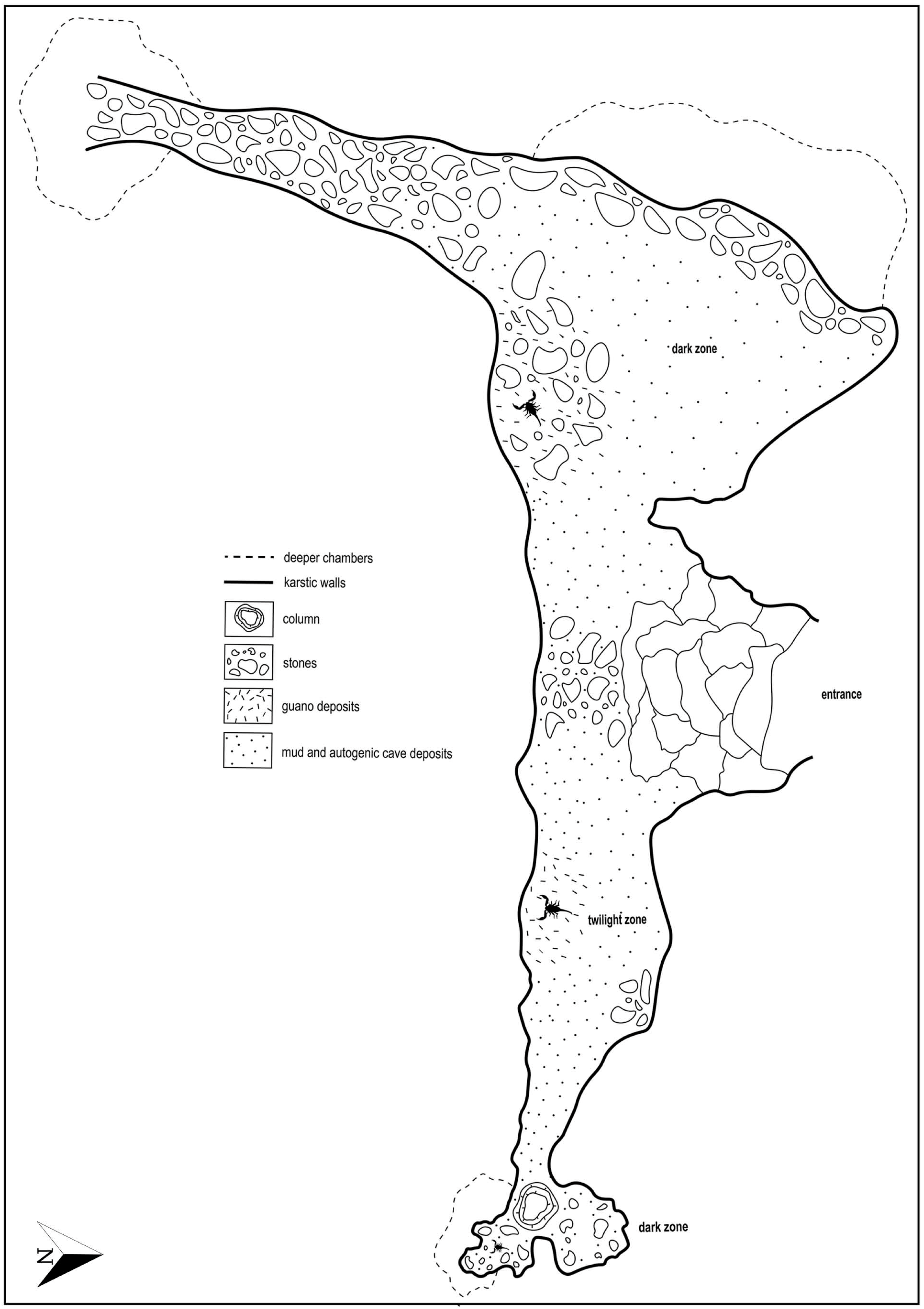 Diversity 16 00737 g003