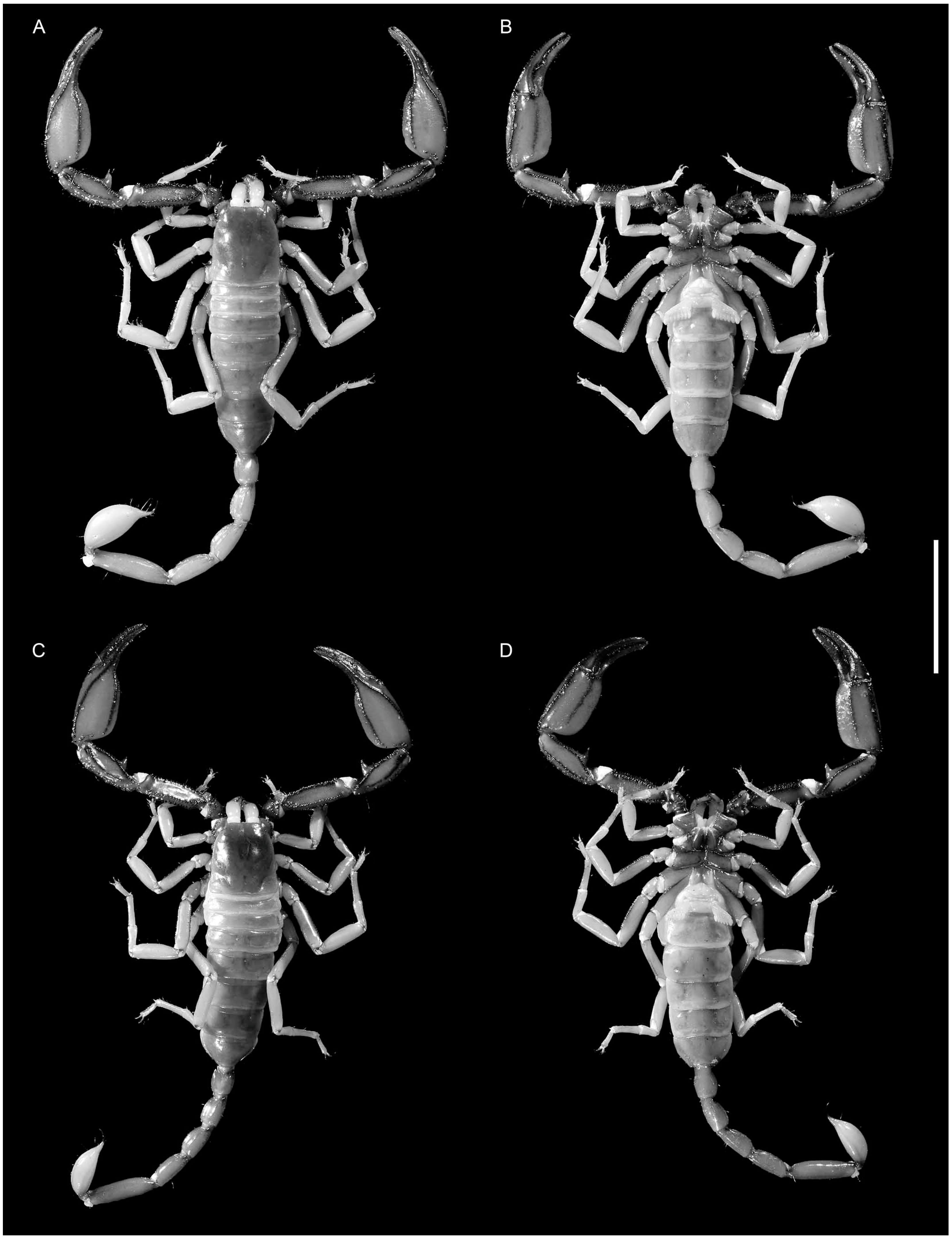 Diversity 16 00737 g005