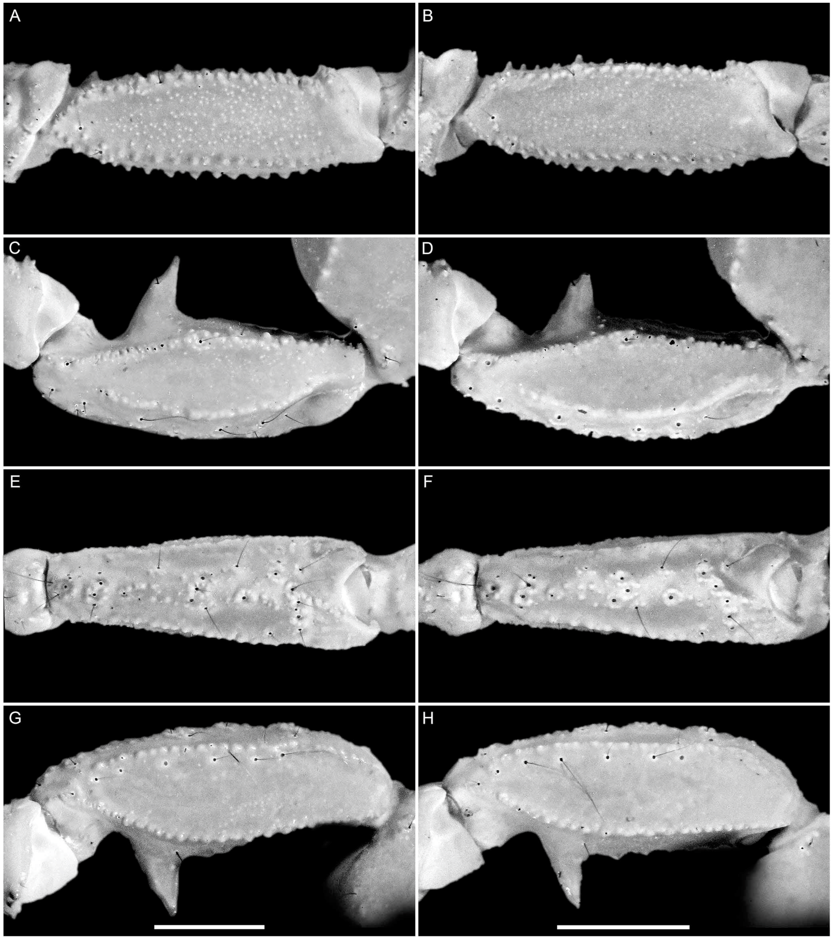 Diversity 16 00737 g007