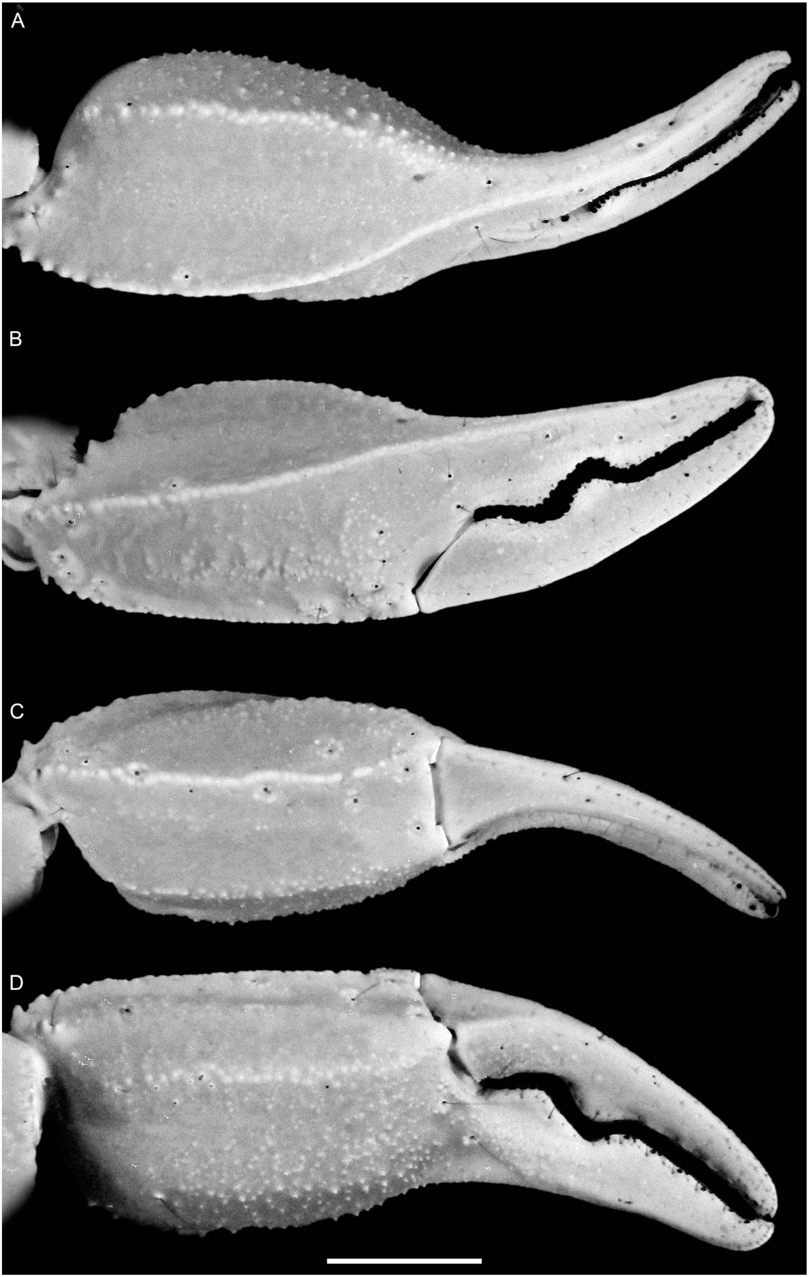 Diversity 16 00737 g008