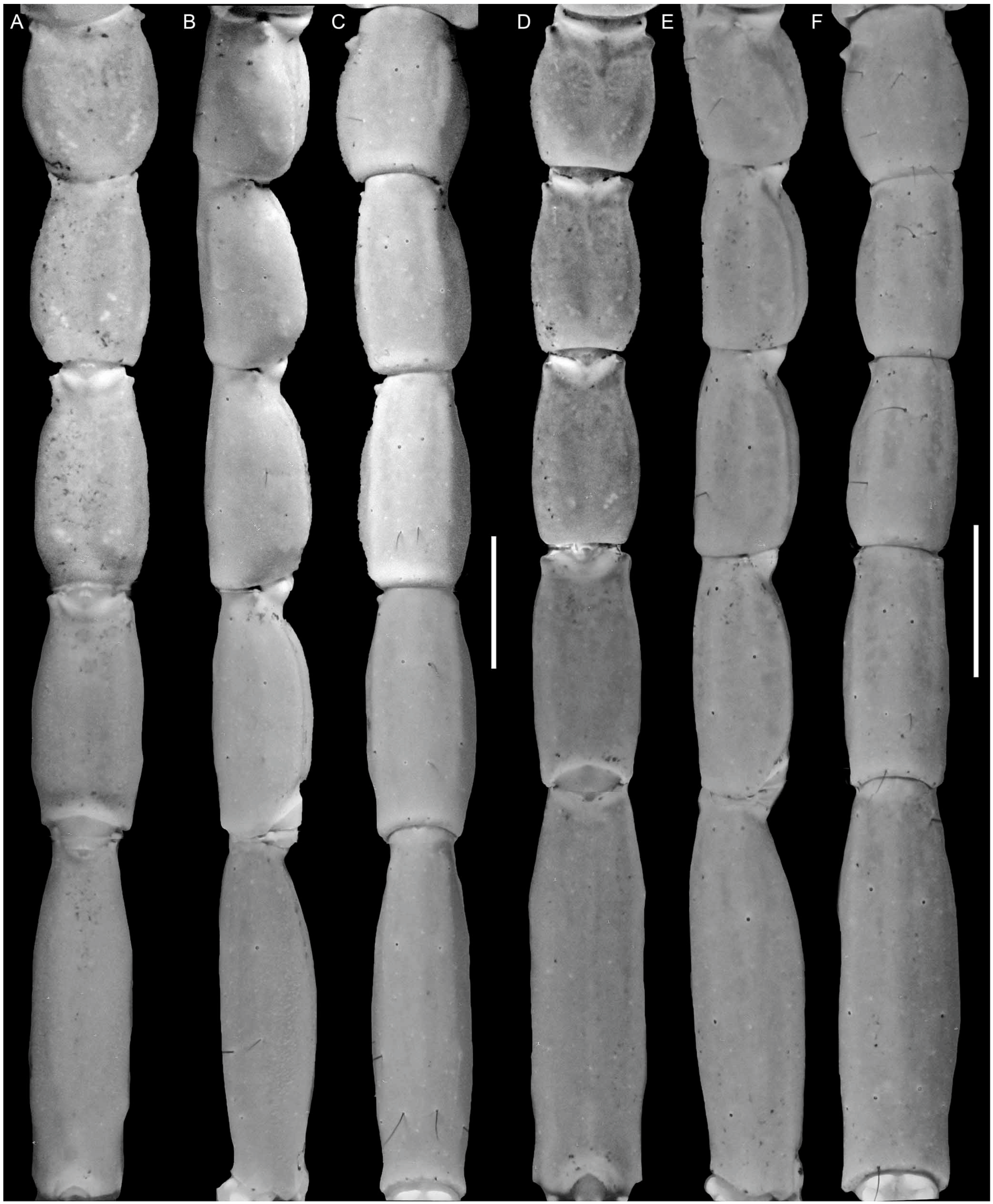 Diversity 16 00737 g011