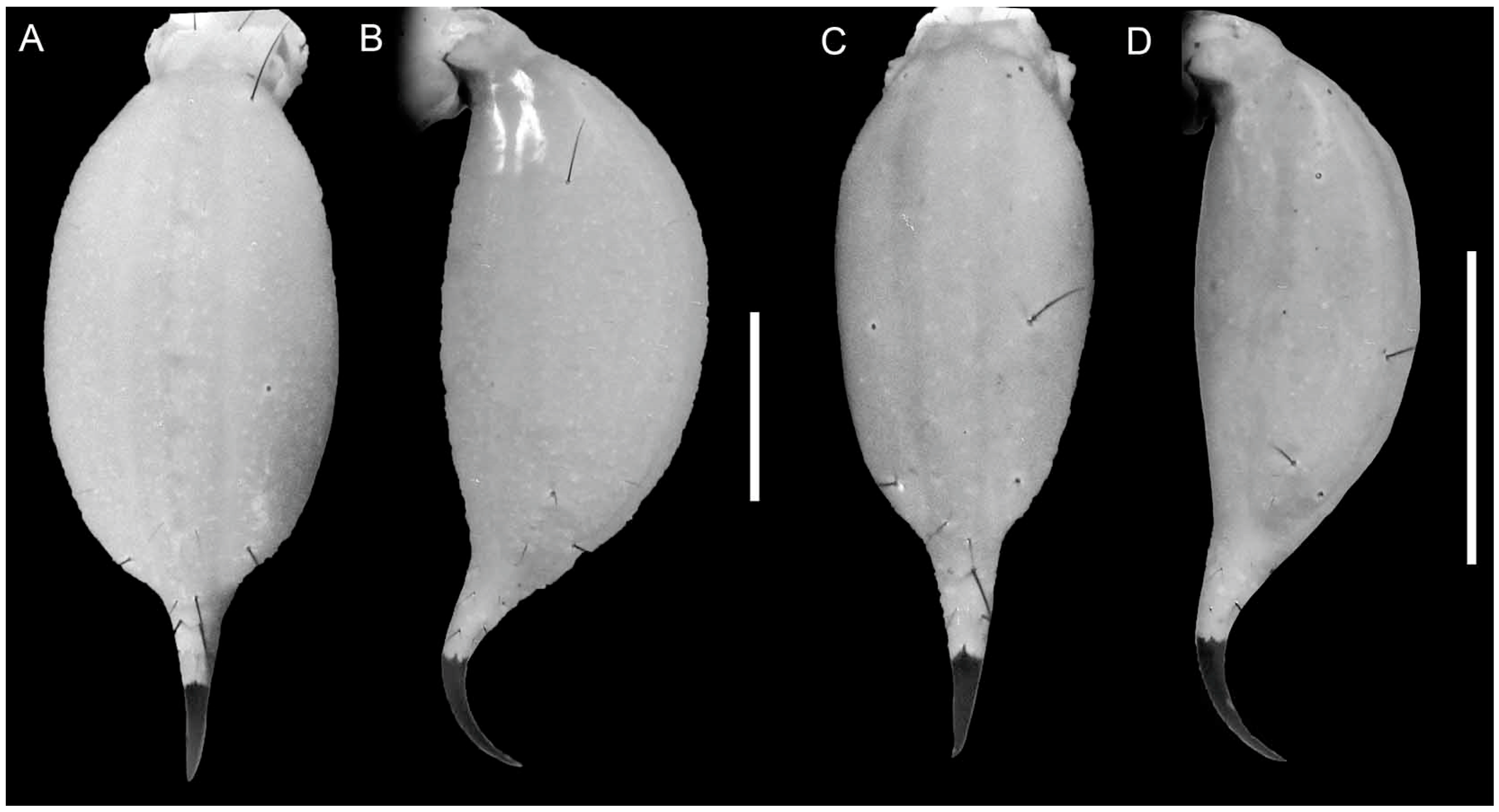 Diversity 16 00737 g012