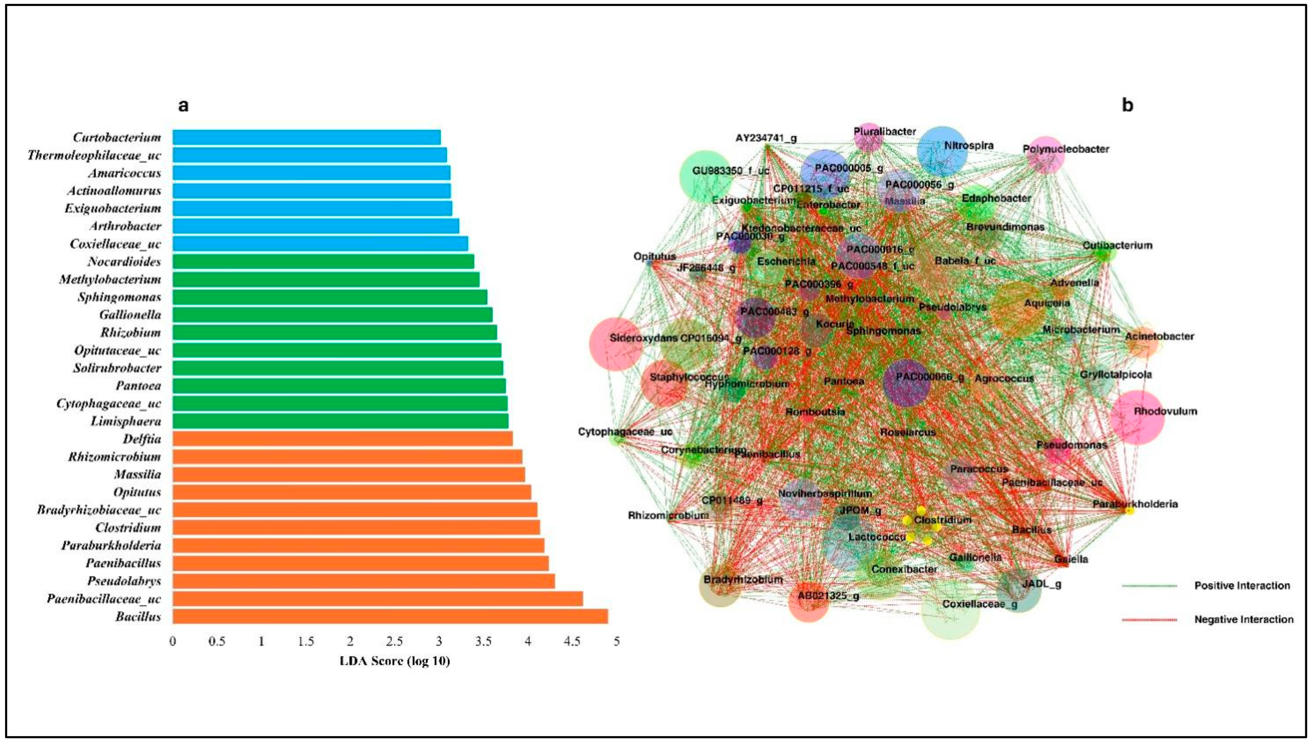 Diversity 16 00749 g007 Diversity 16 00749 g007