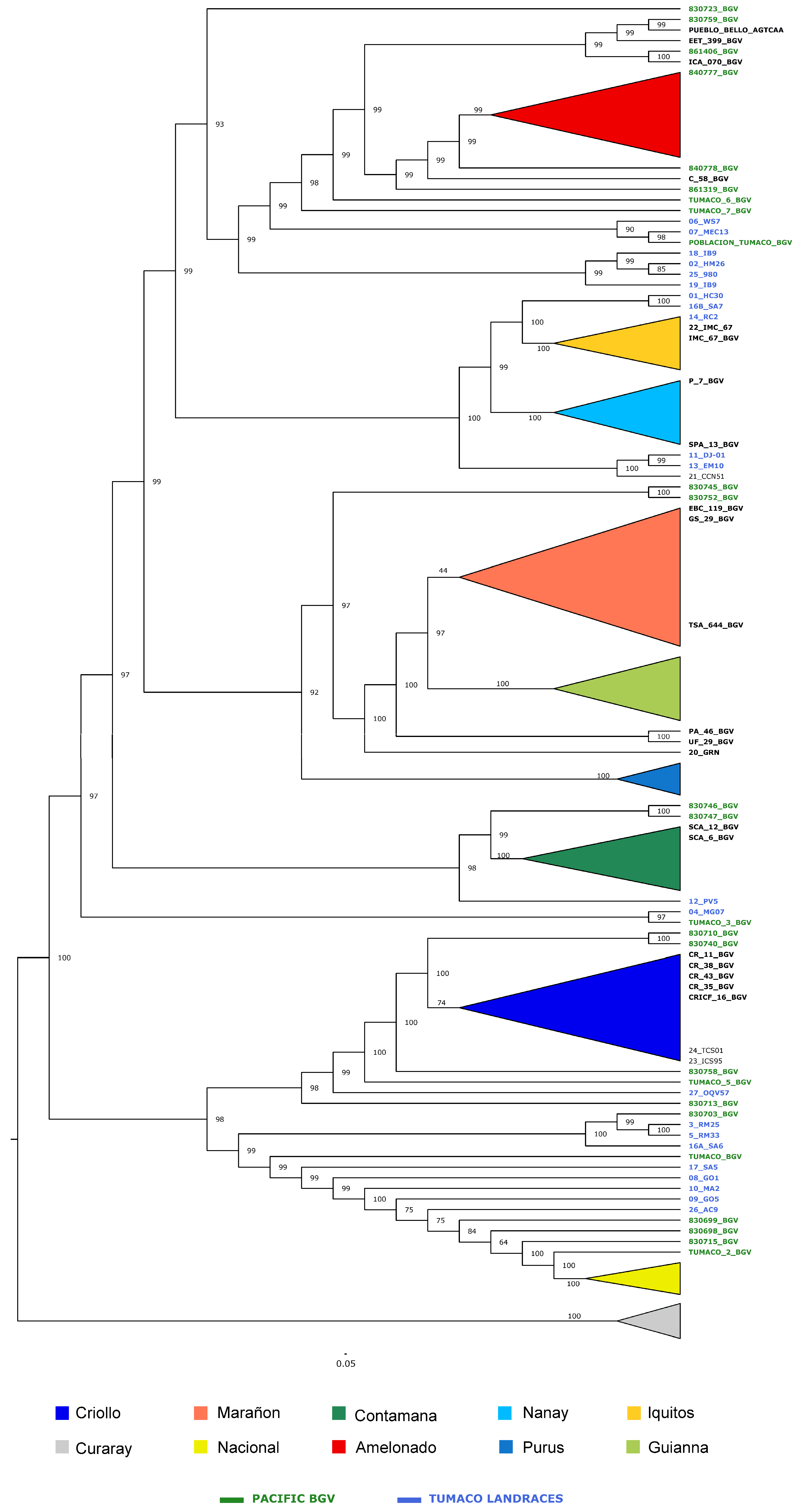 Diversity 16 00754 g003