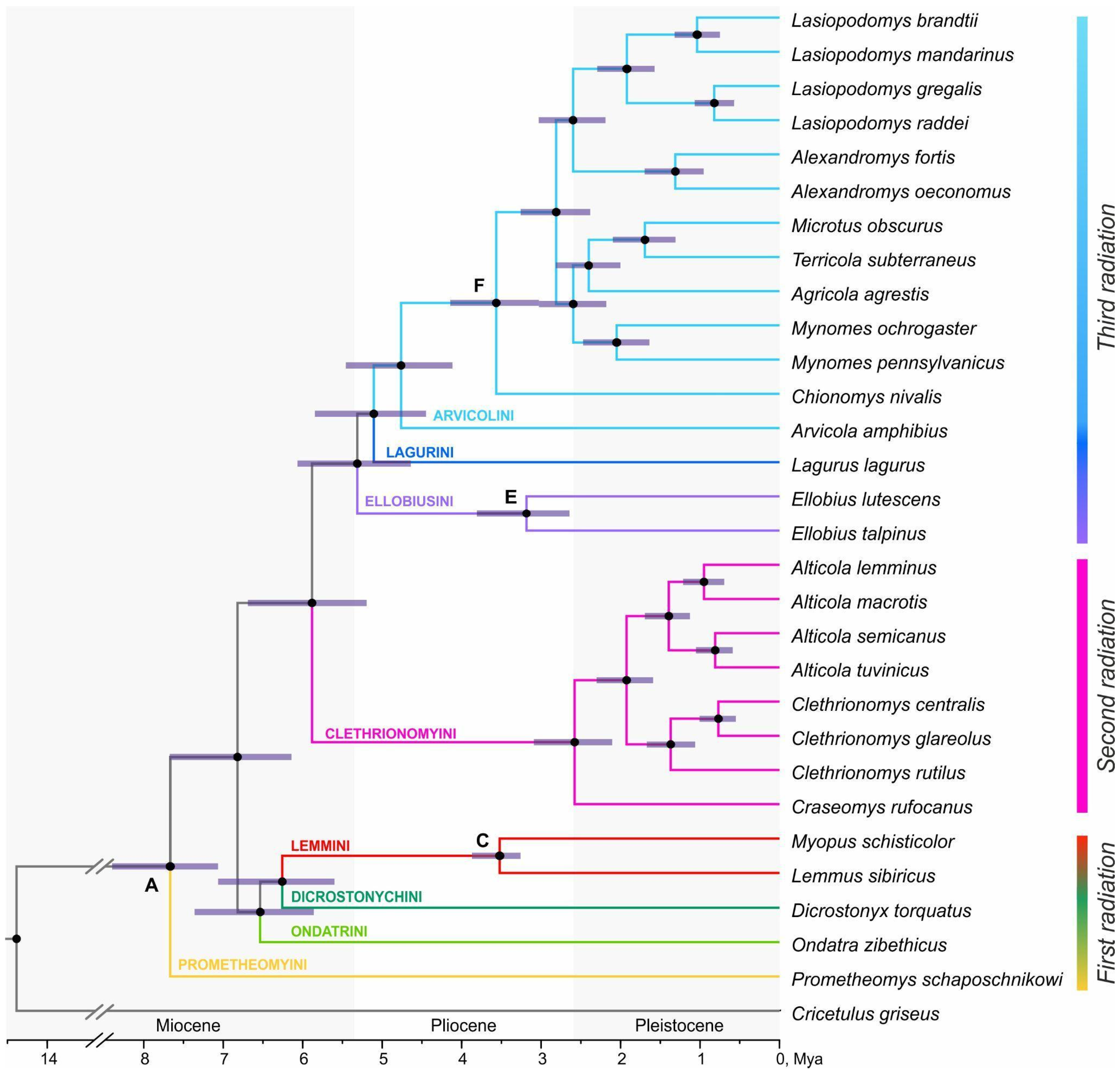 Diversity 17 00061 g001