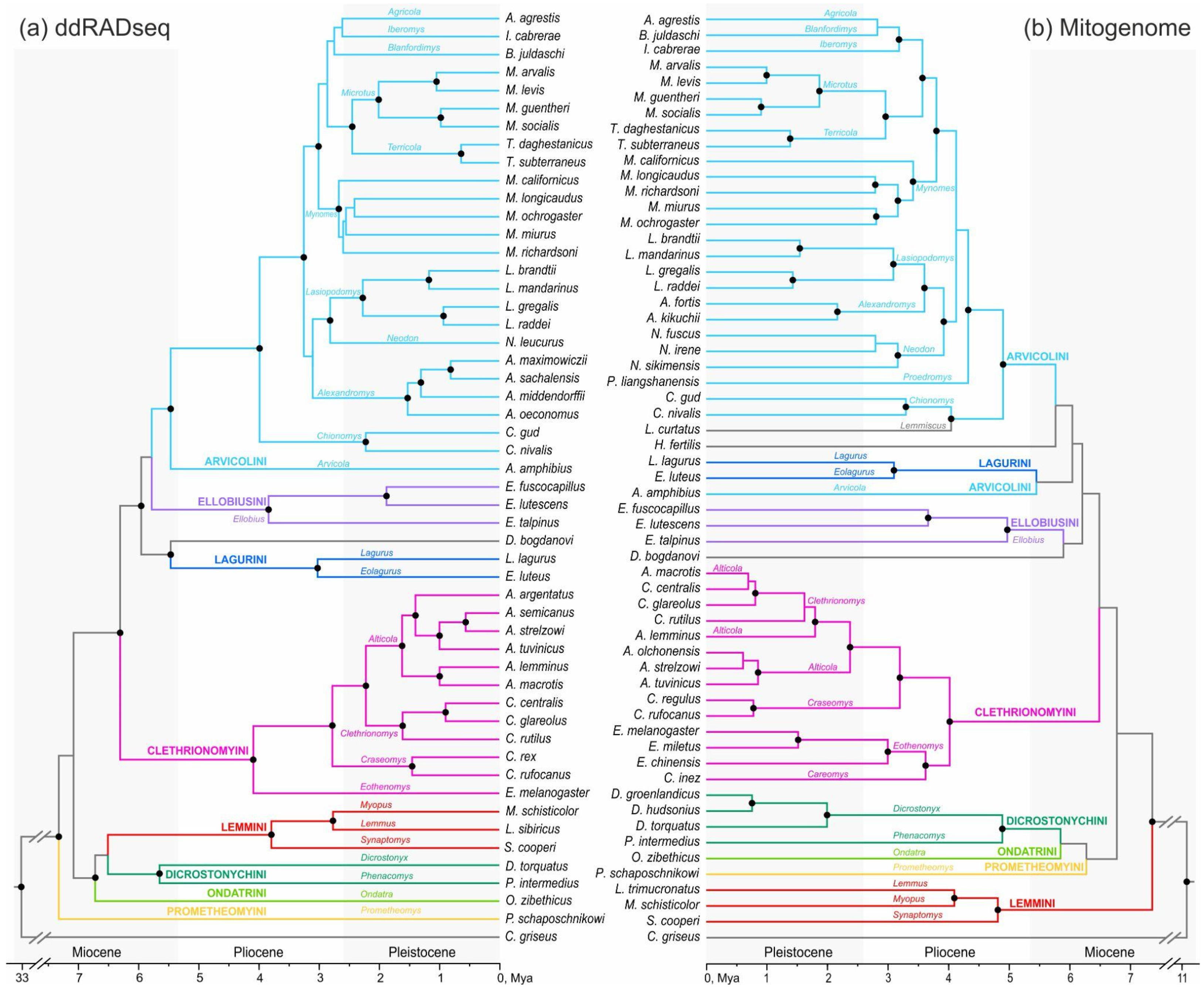 Diversity 17 00061 g004
