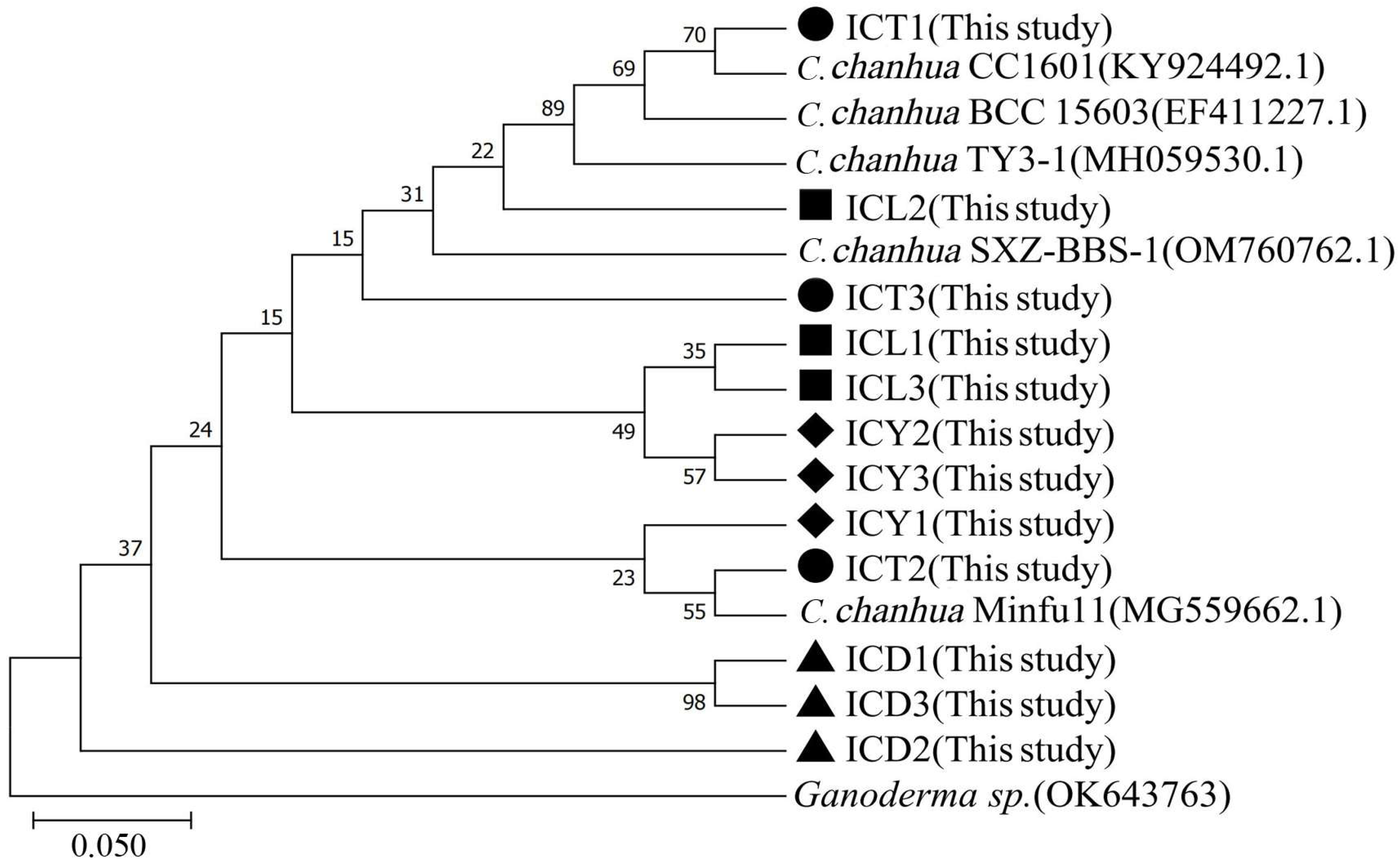 Diversity 17 00085 g002
