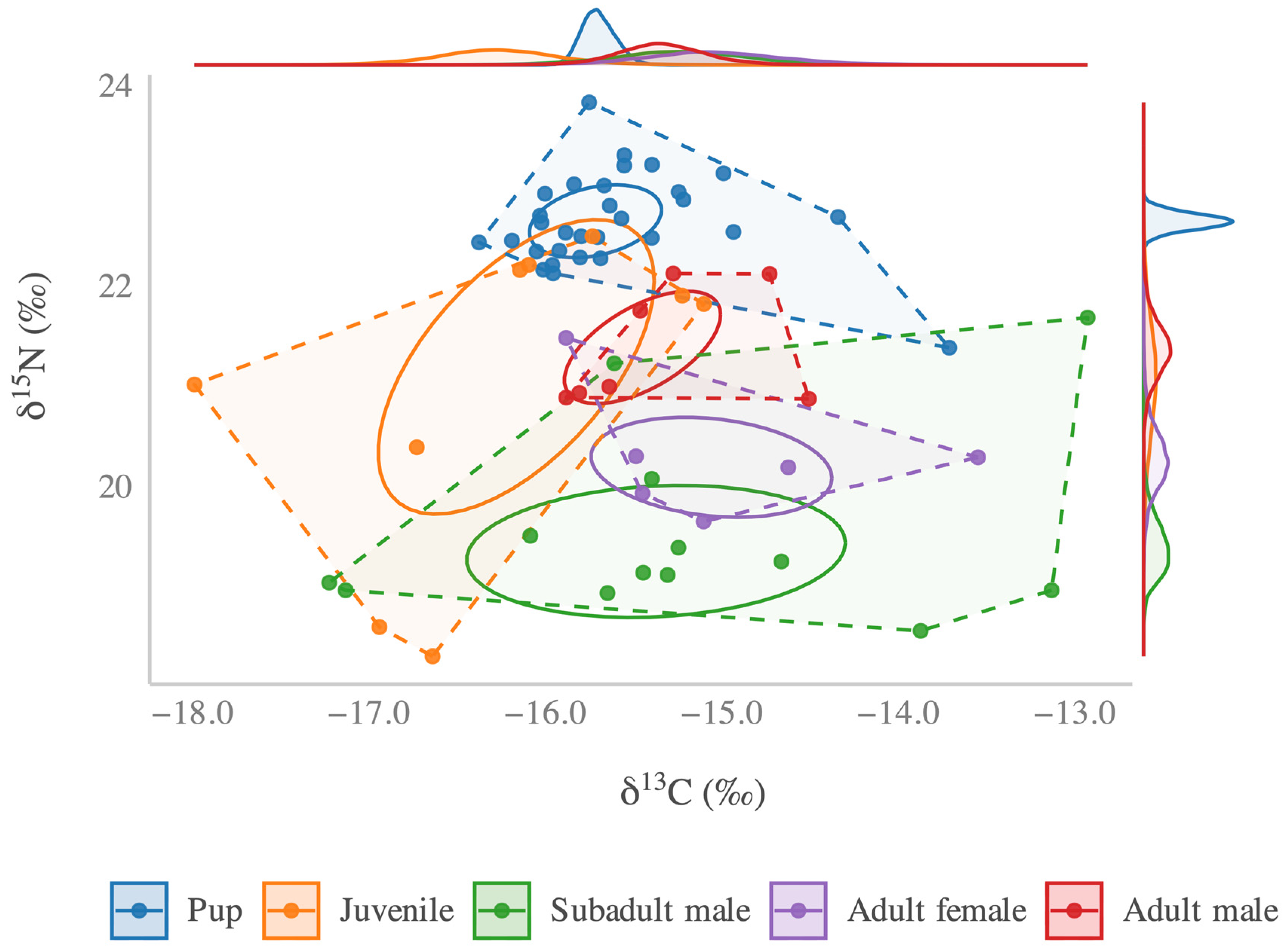 Diversity 17 00166 g002