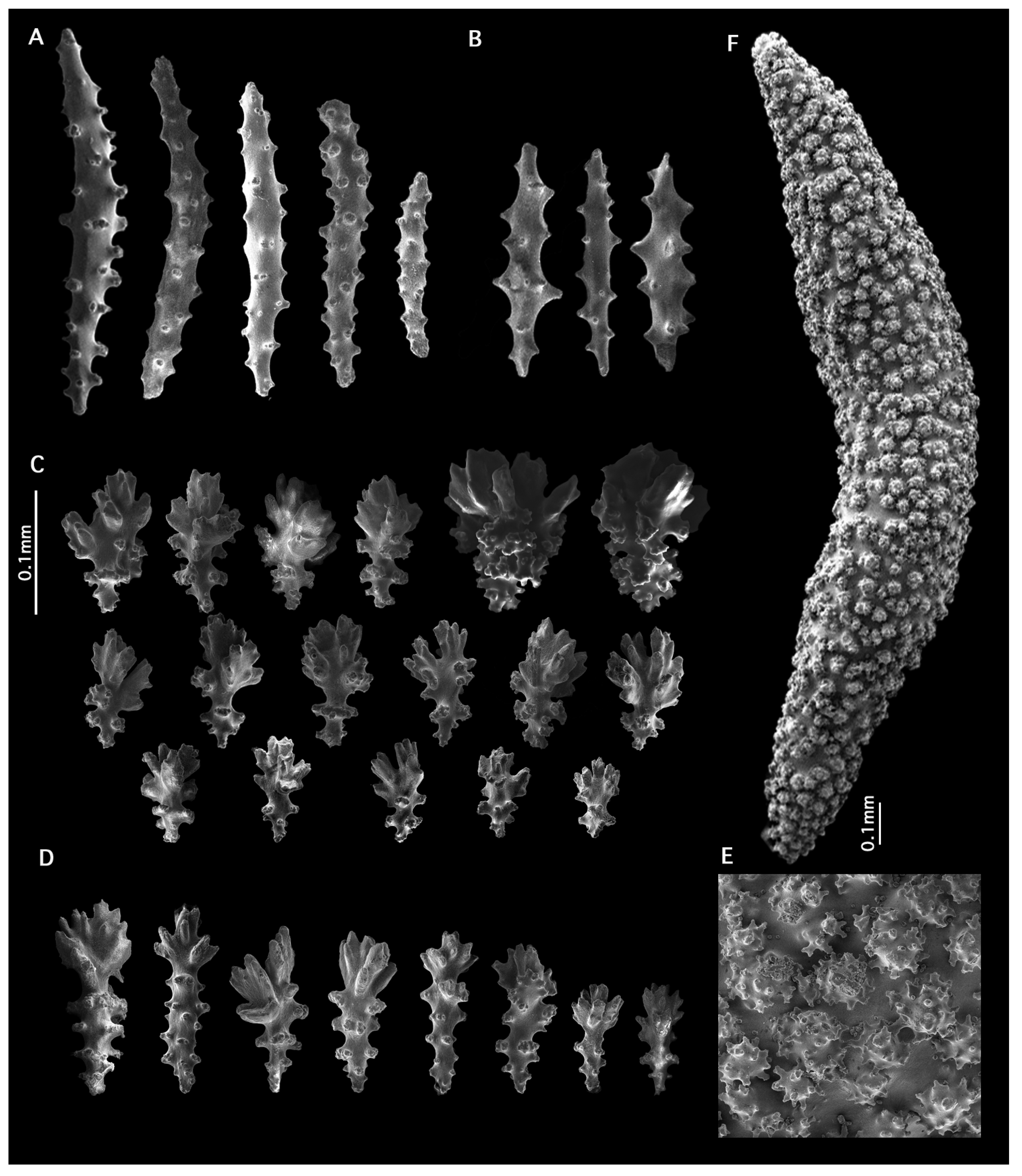 Diversity 17 00173 g007