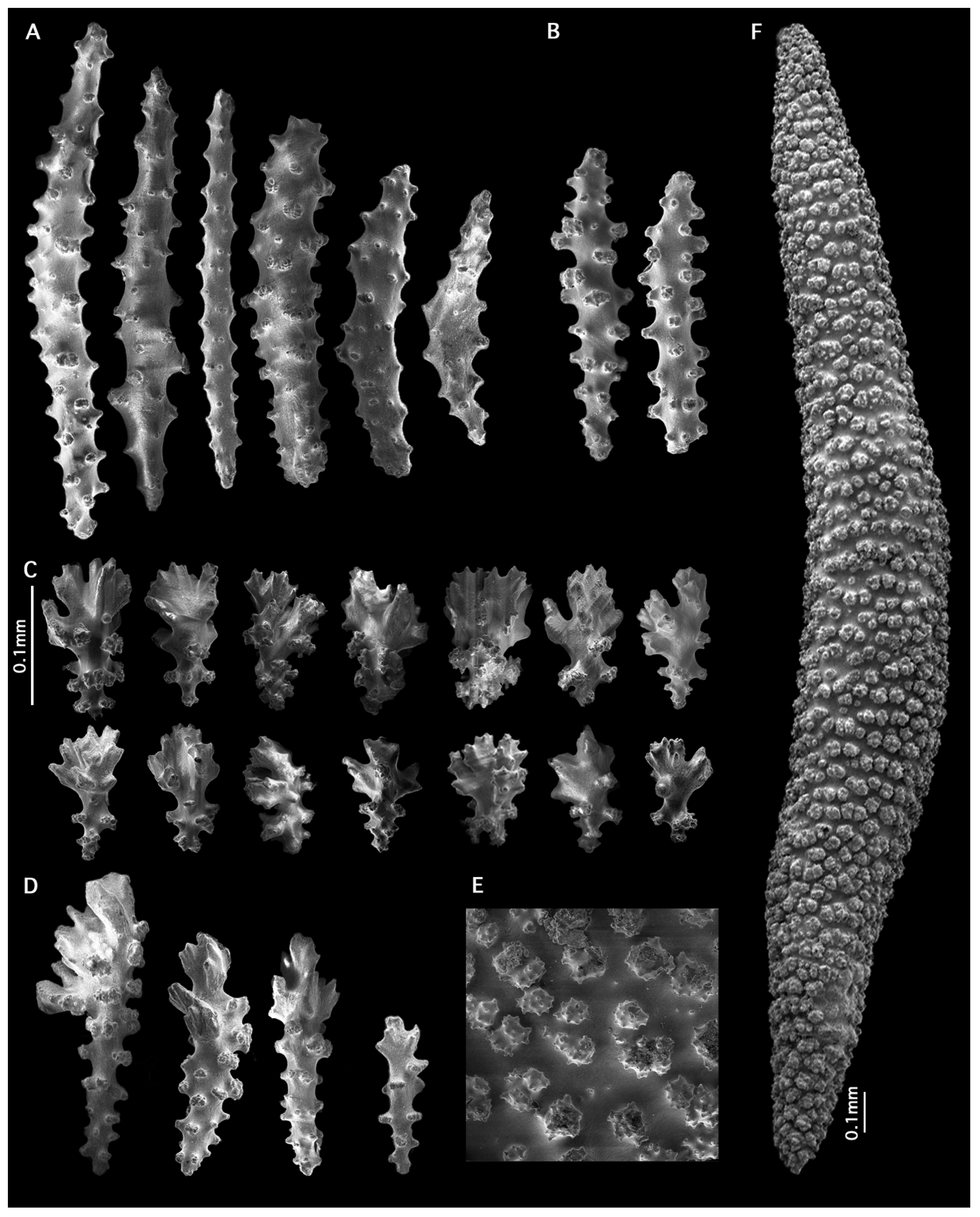 Diversity 17 00173 g009