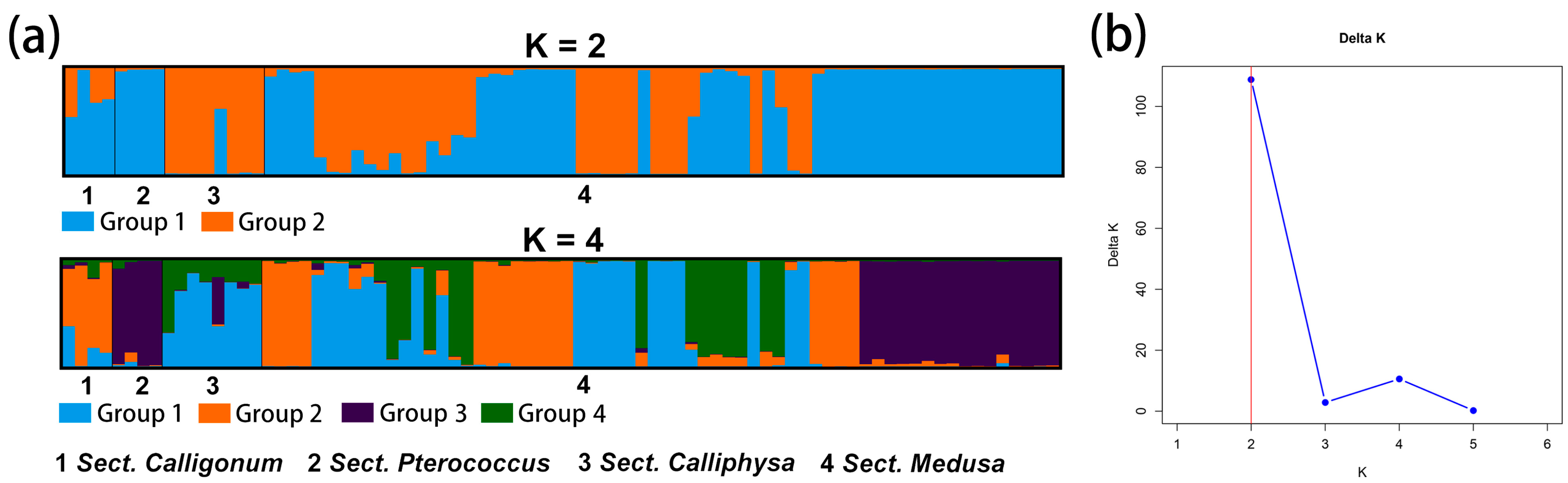 Diversity 17 00196 g004