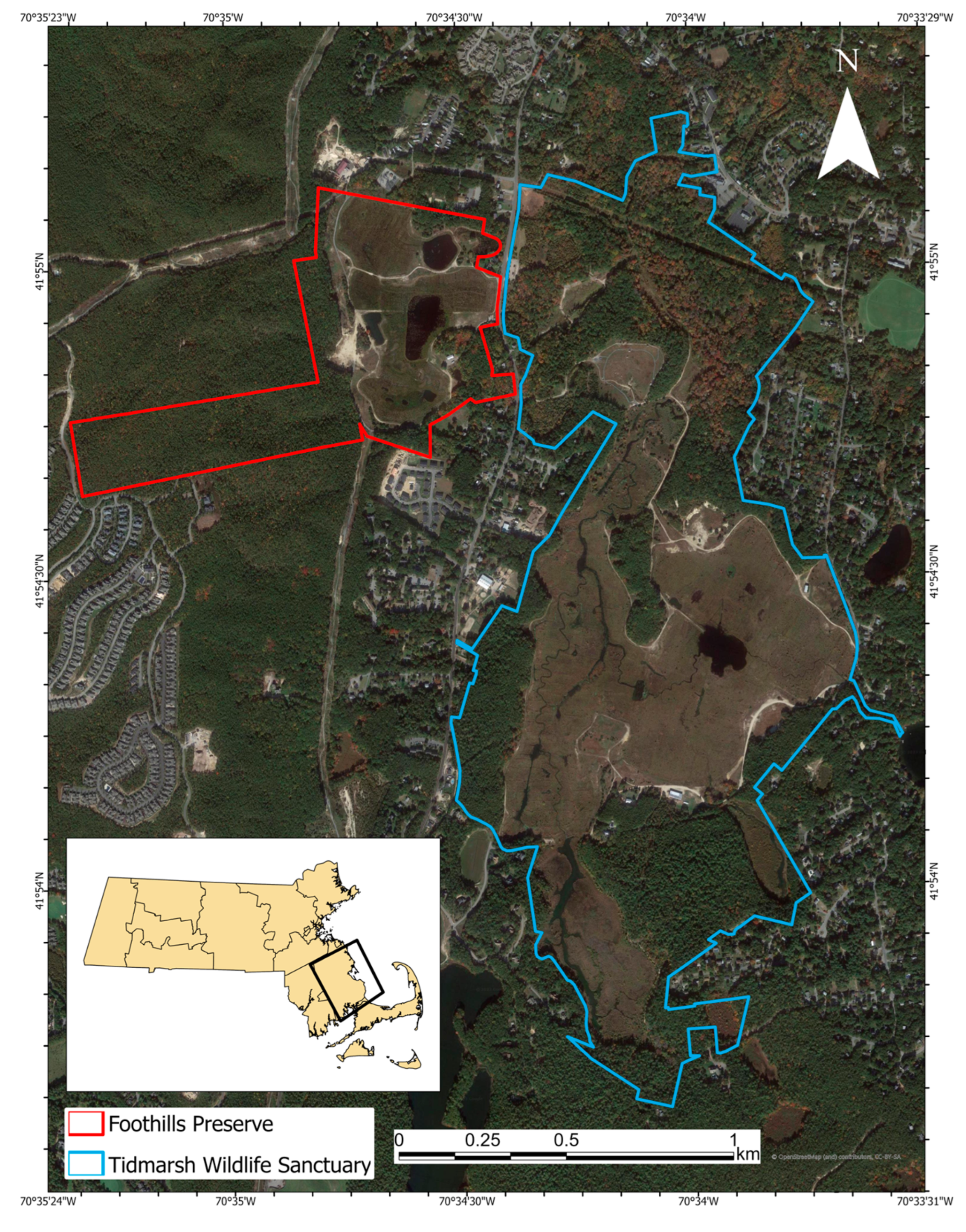 Diversity 17 00198 g001