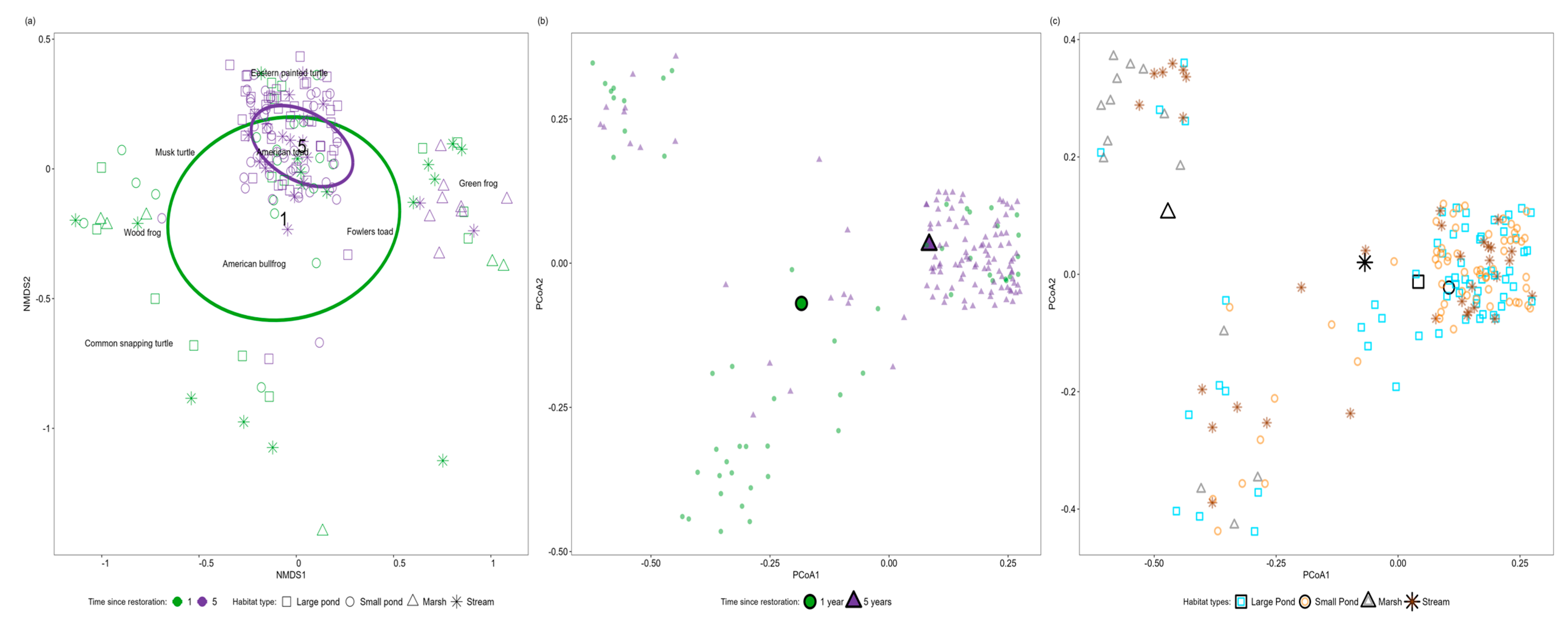 Diversity 17 00198 g004