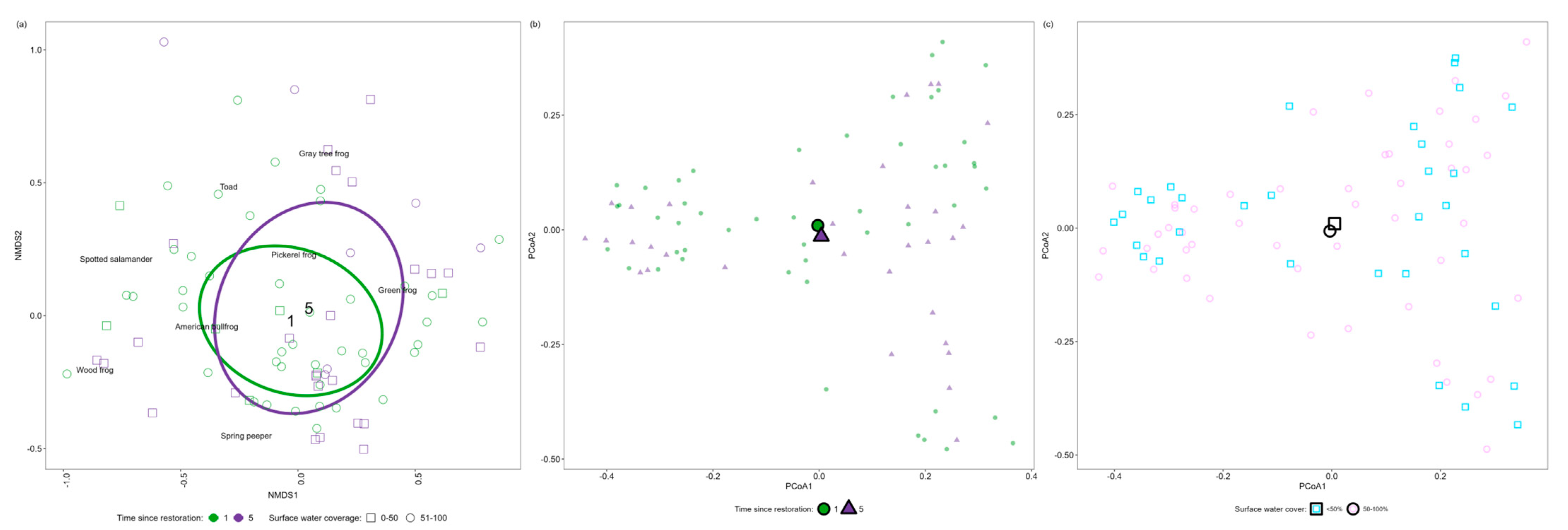 Diversity 17 00198 g005