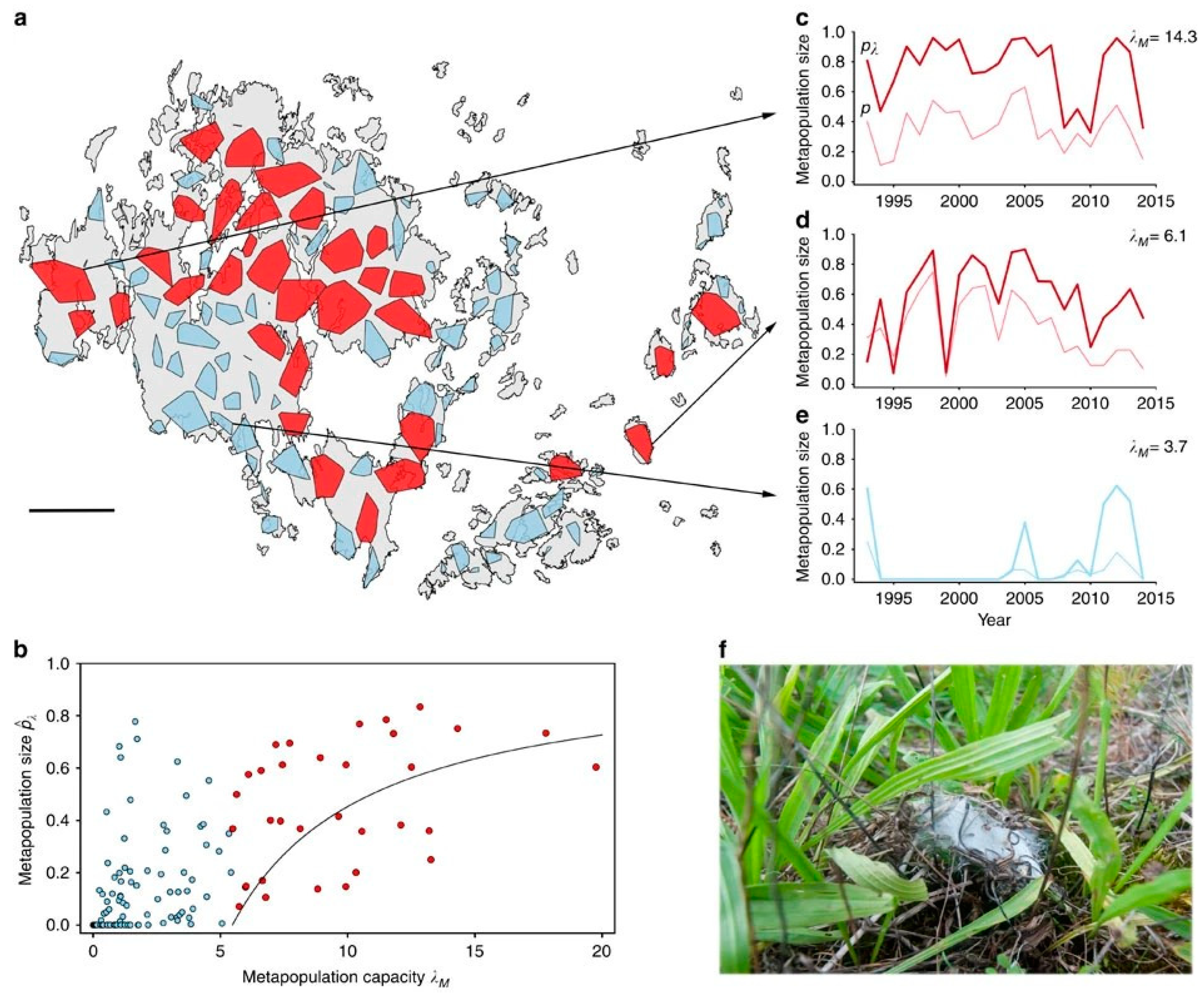 Diversity 17 00200 g008