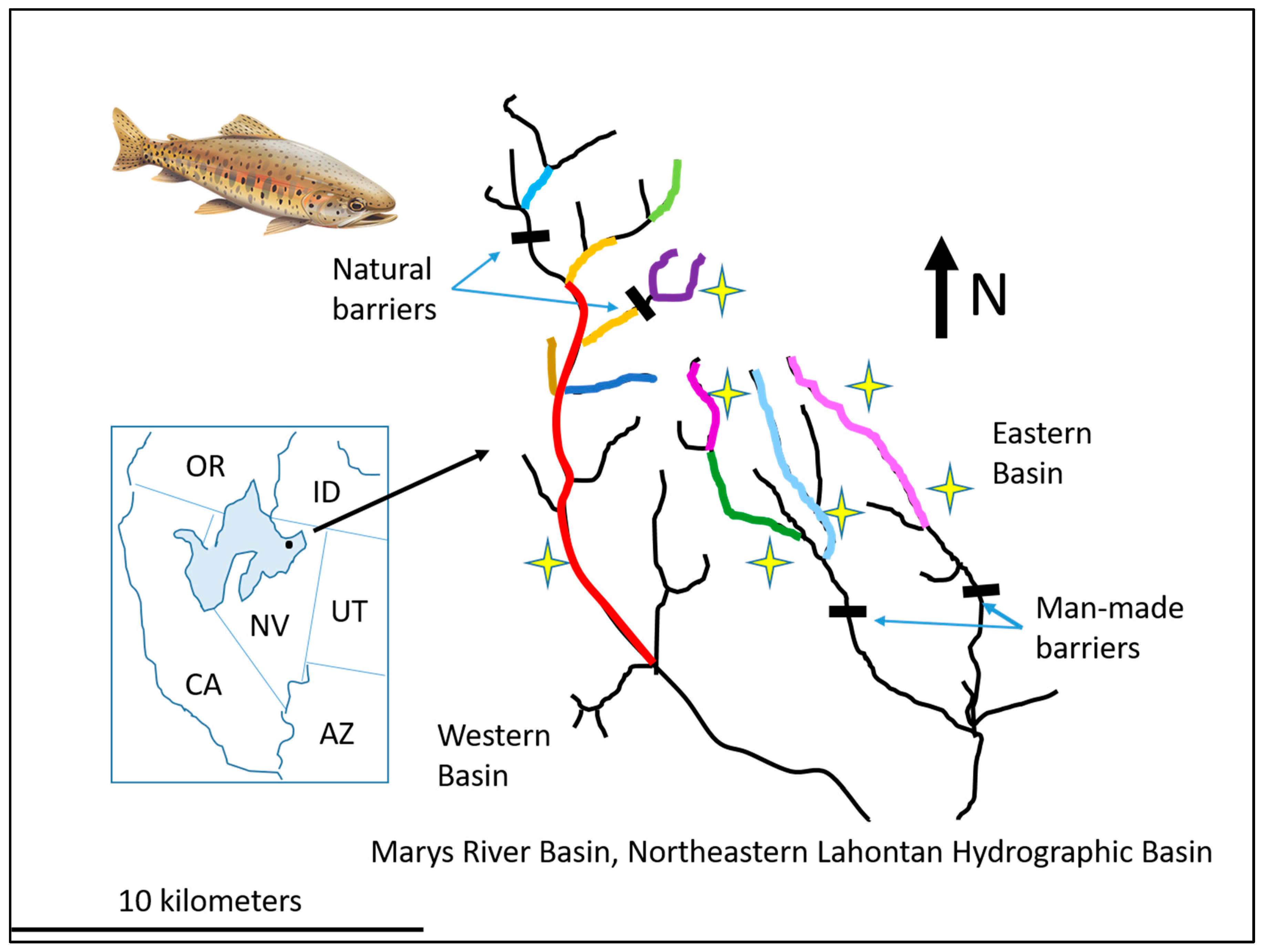 Diversity 17 00200 g009