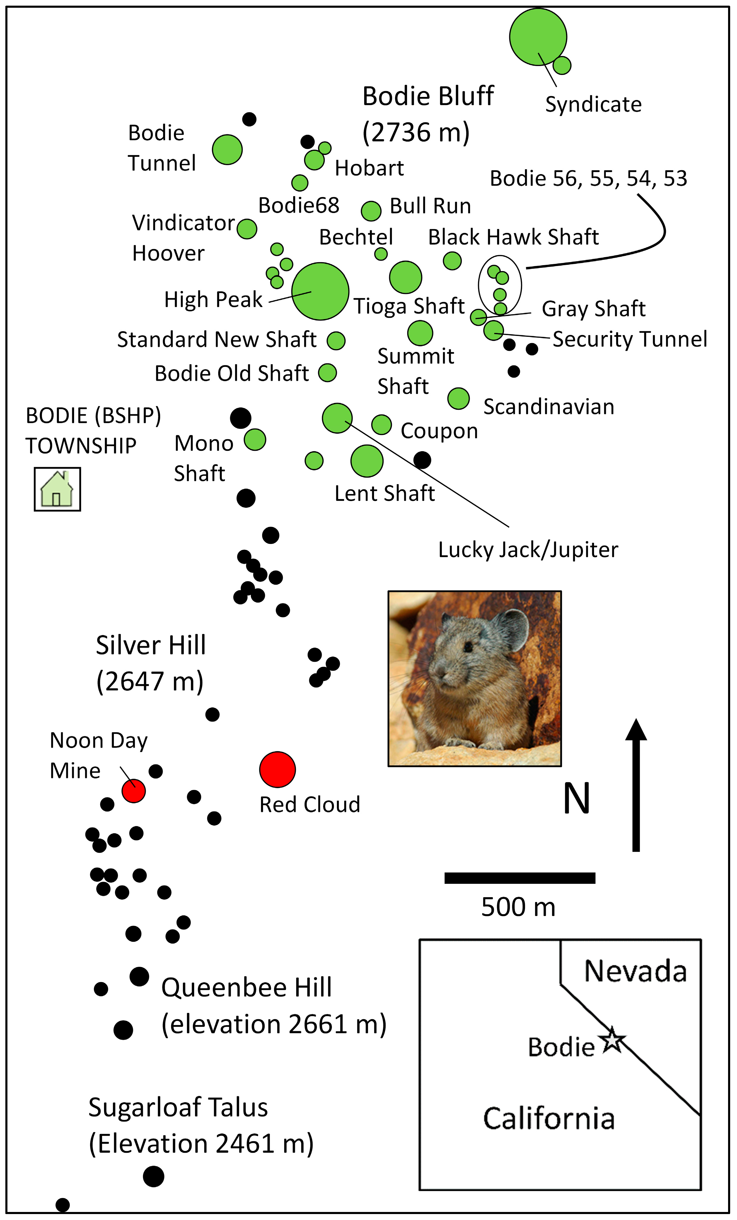 Diversity 17 00200 g010