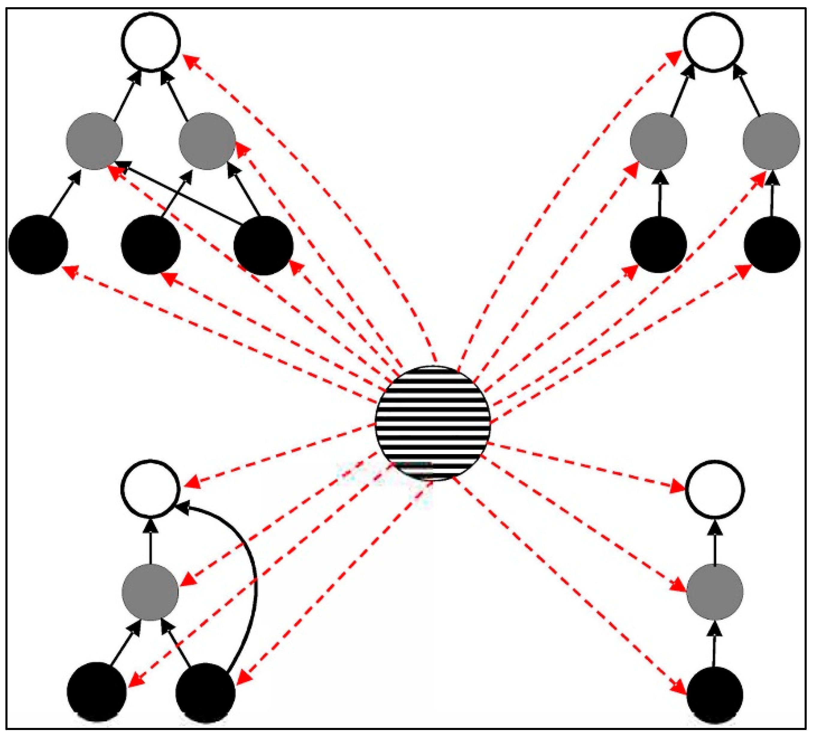 Diversity 17 00200 g011