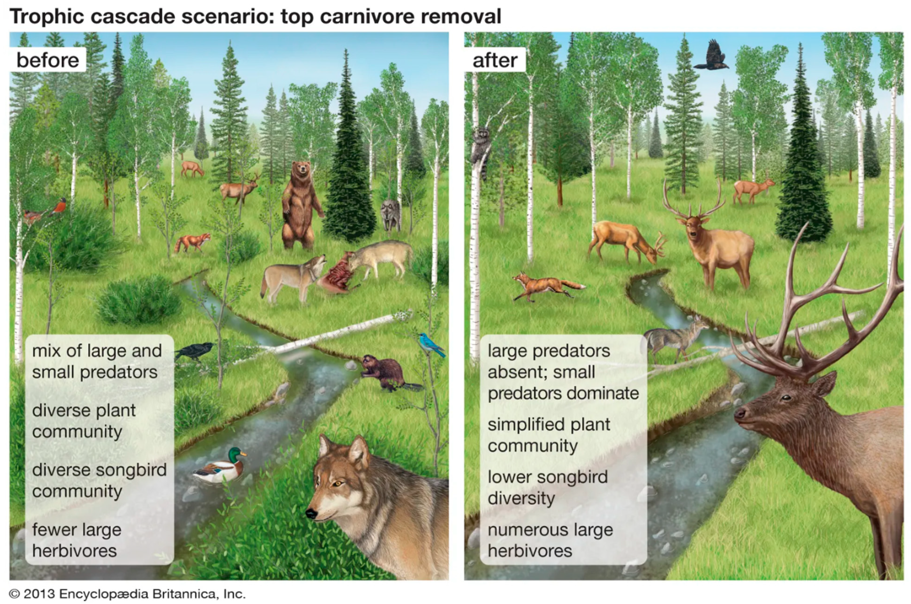 Diversity 17 00200 g012