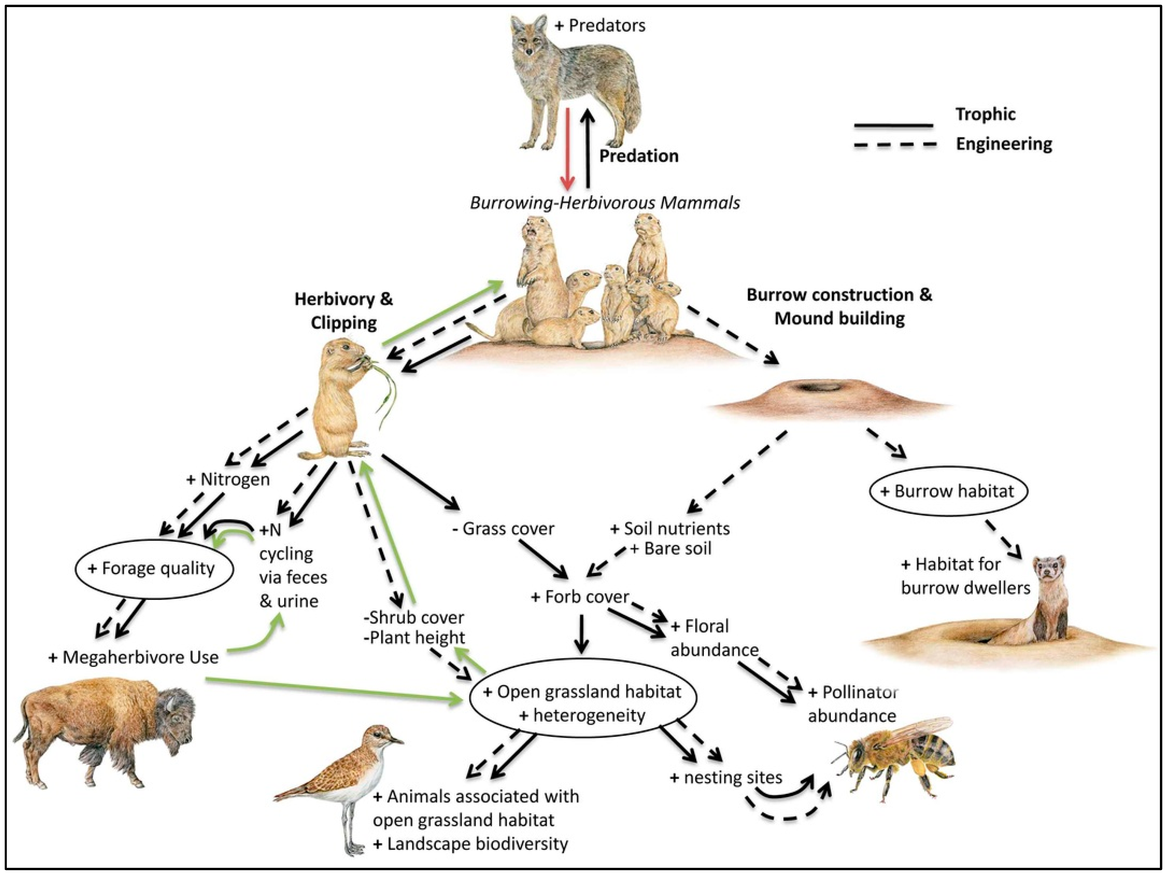 Diversity 17 00200 g013
