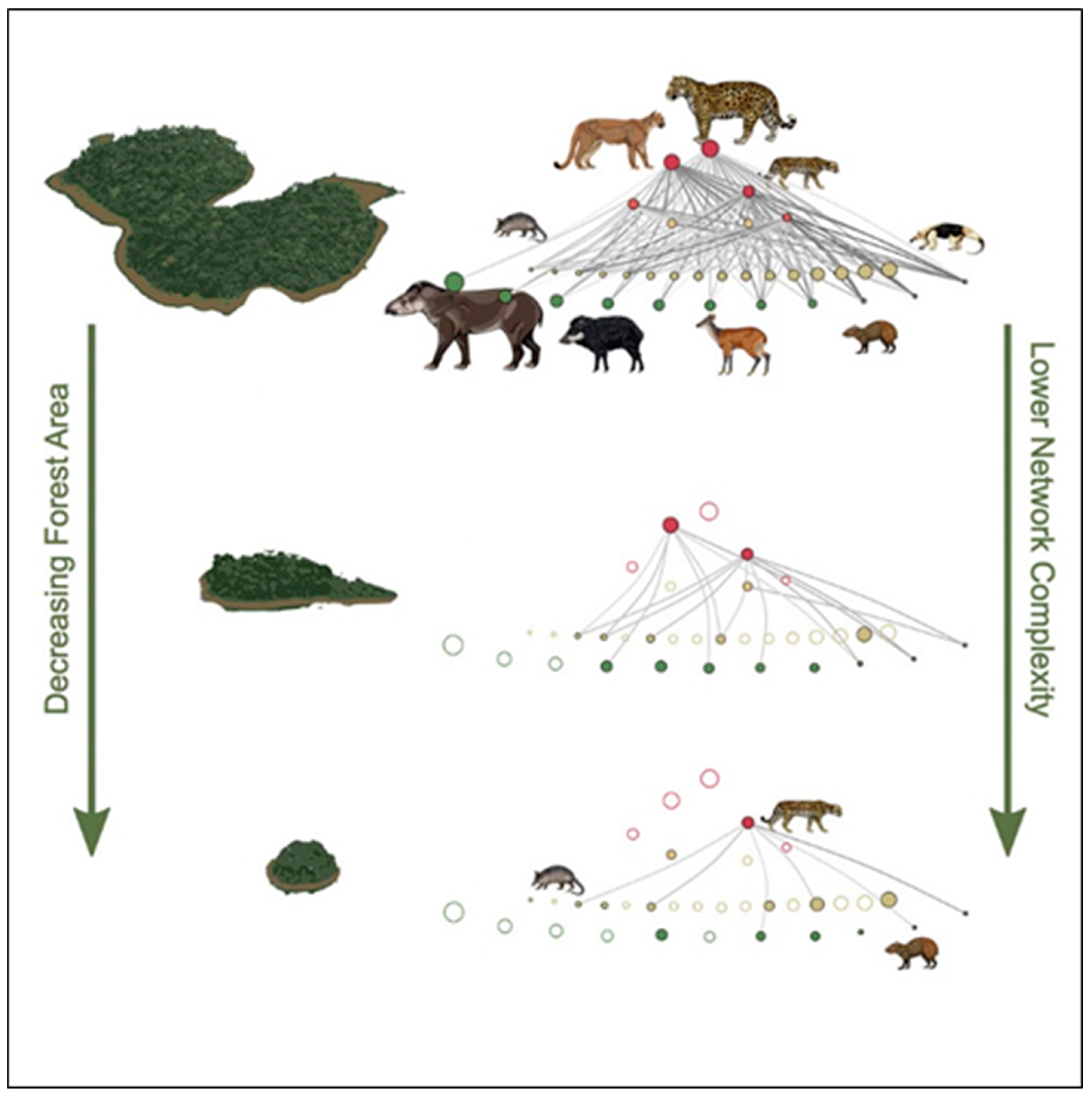 Diversity 17 00200 g015