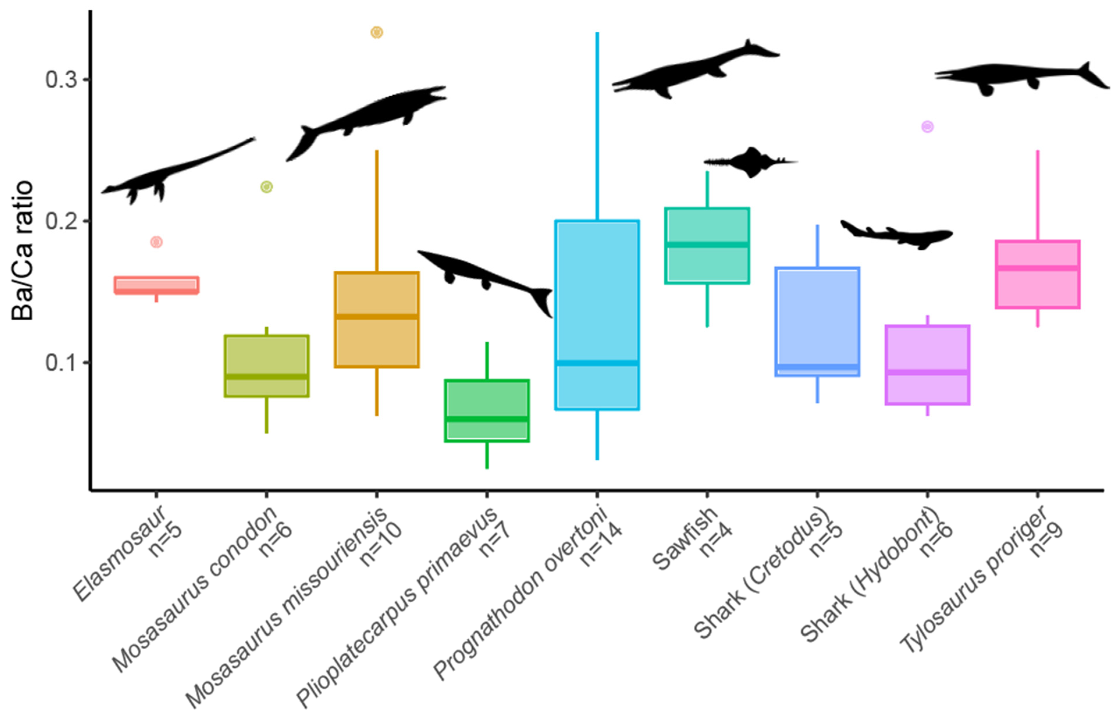 Diversity 17 00205 g005