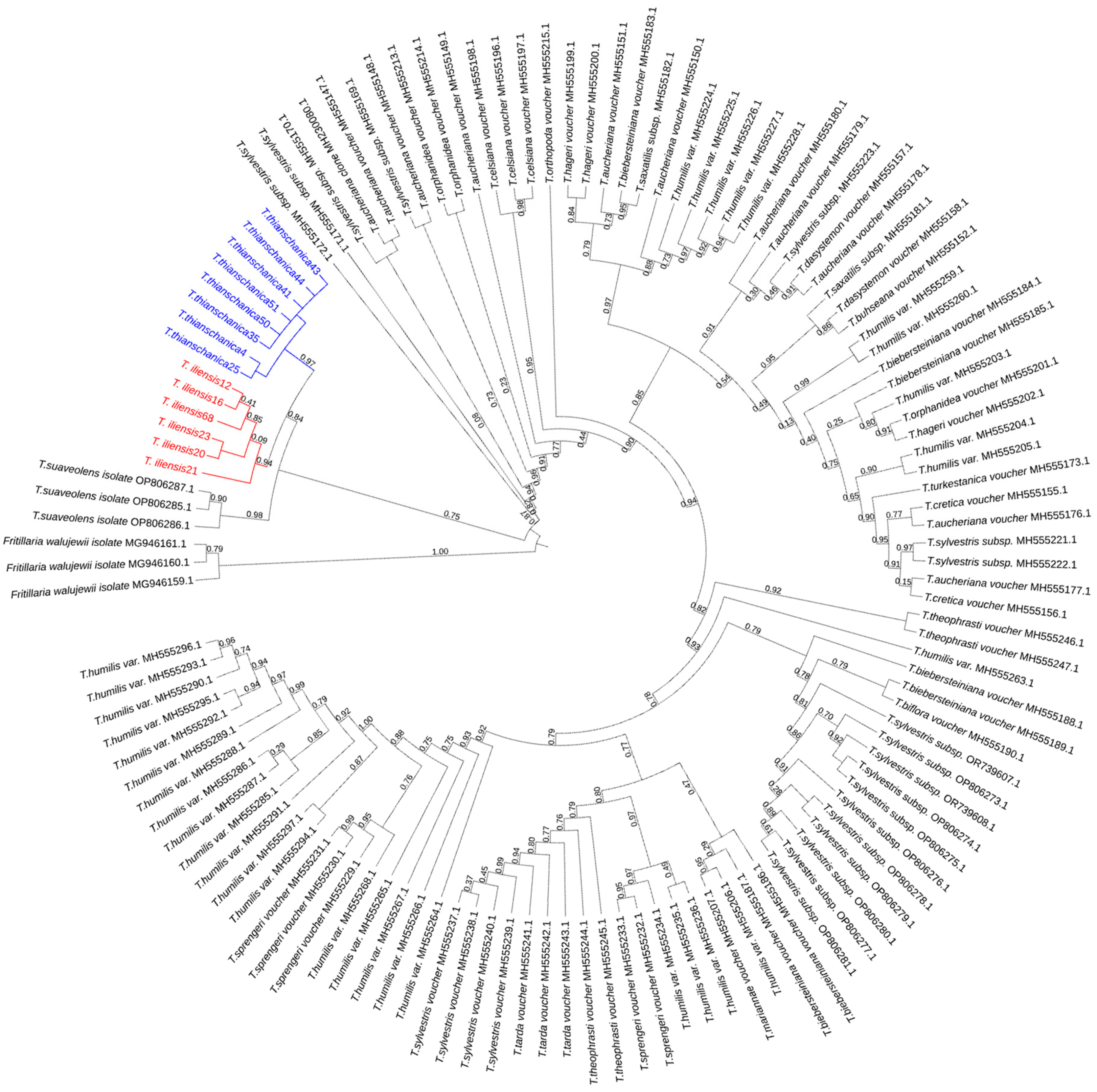 Diversity 17 00219 g004
