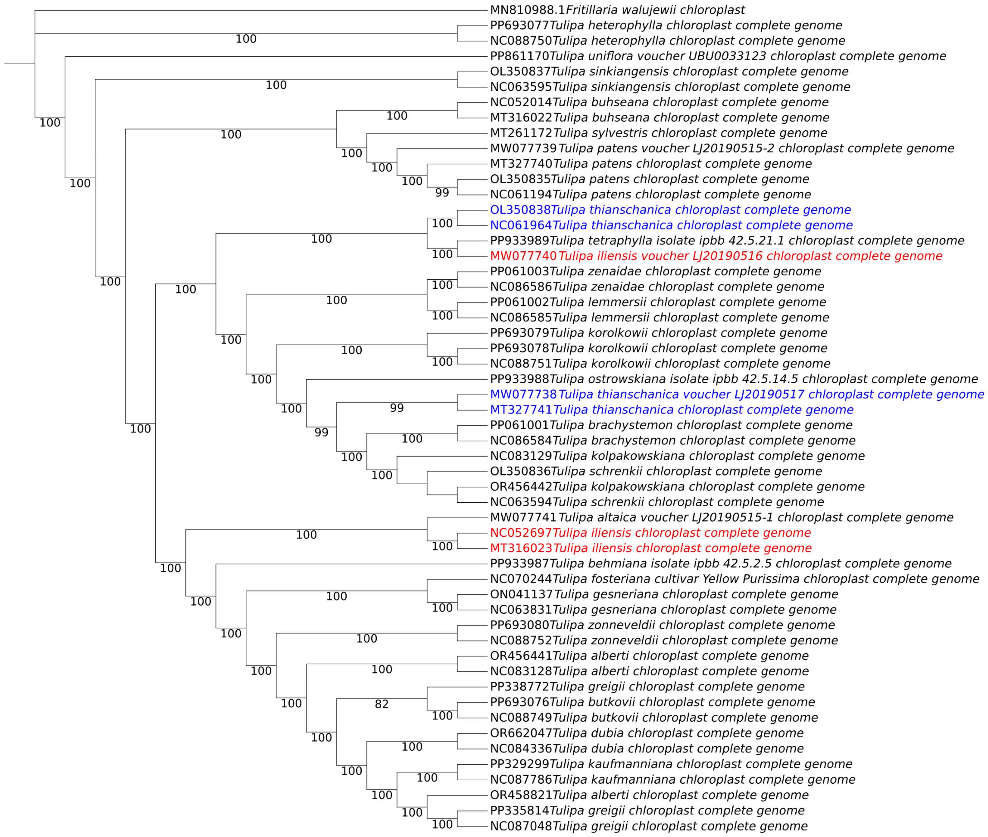 Diversity 17 00219 g005