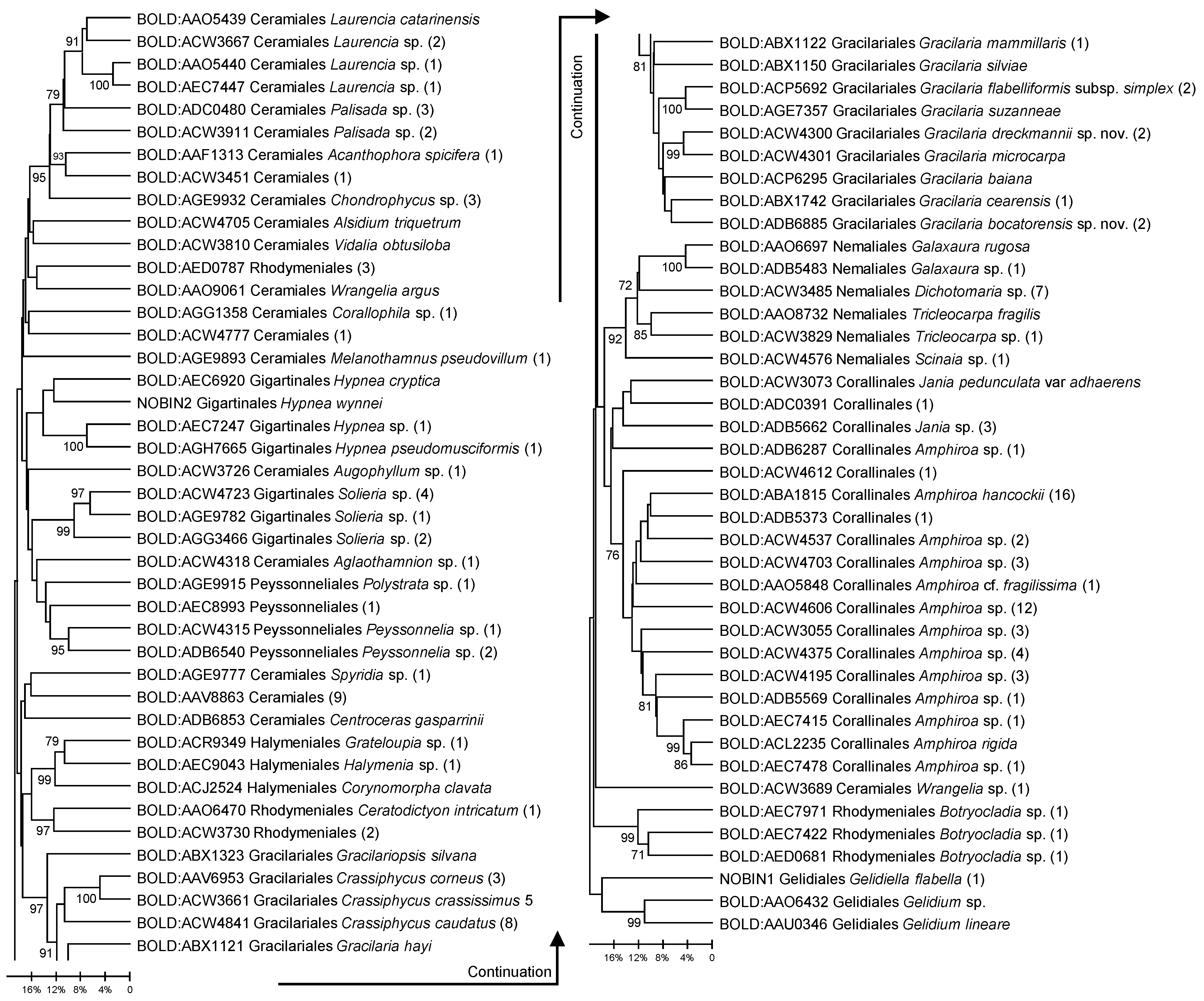 Diversity 17 00222 g002
