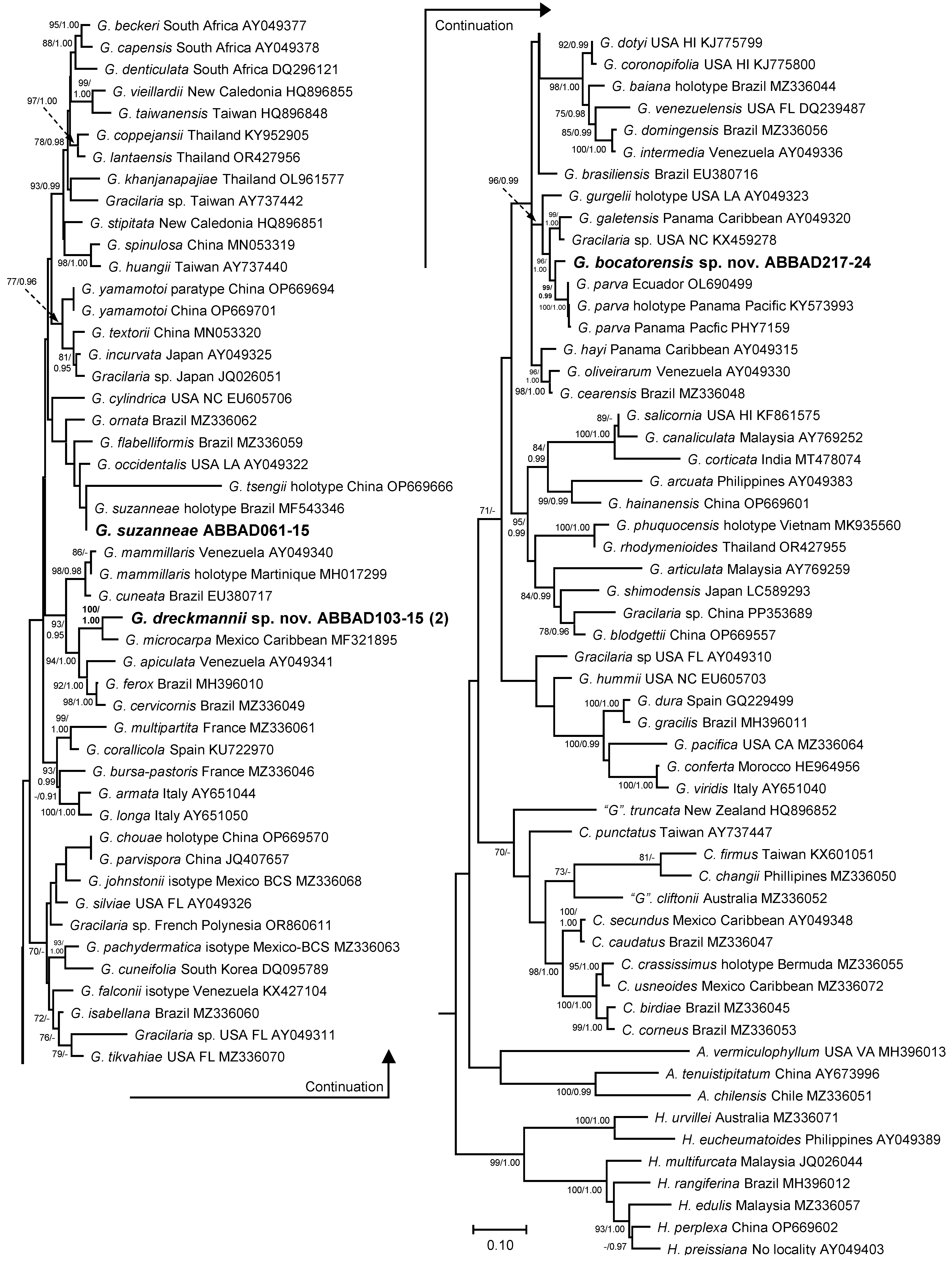 Diversity 17 00222 g005