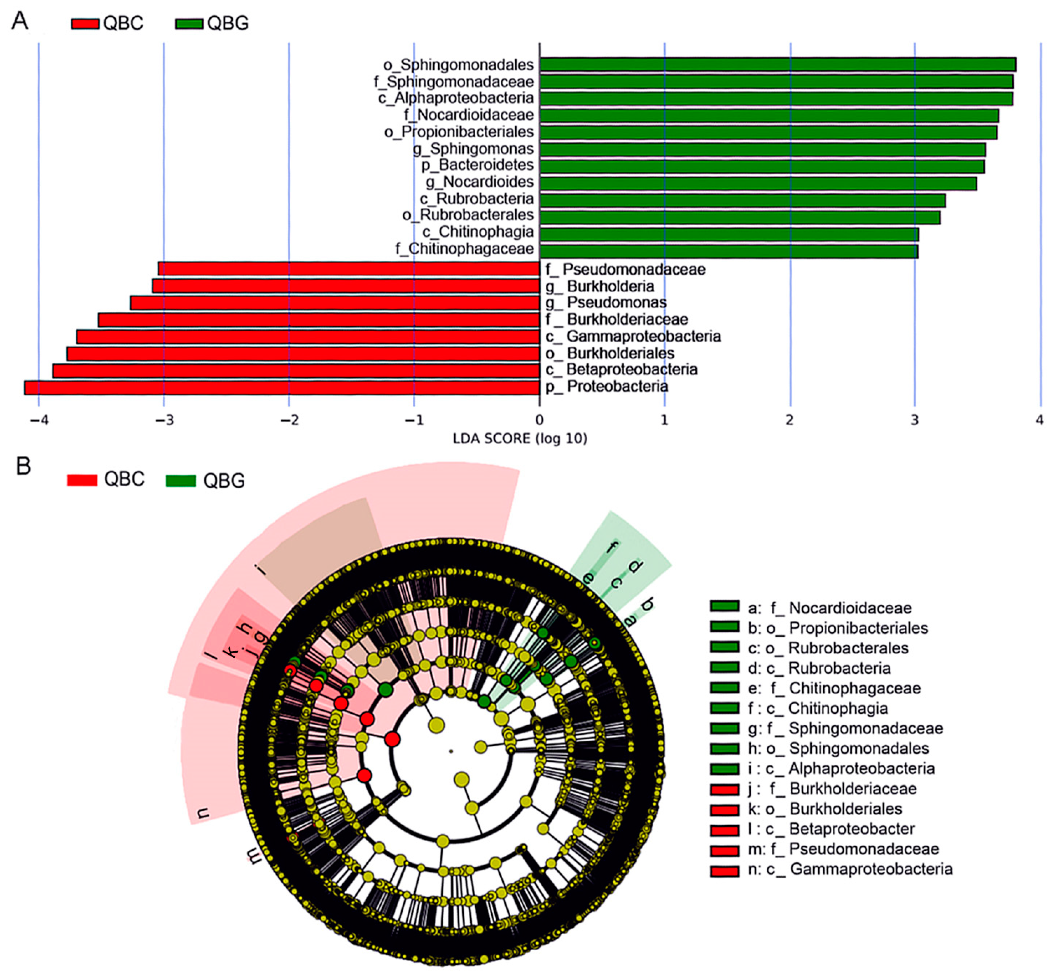 Diversity 17 00266 g005