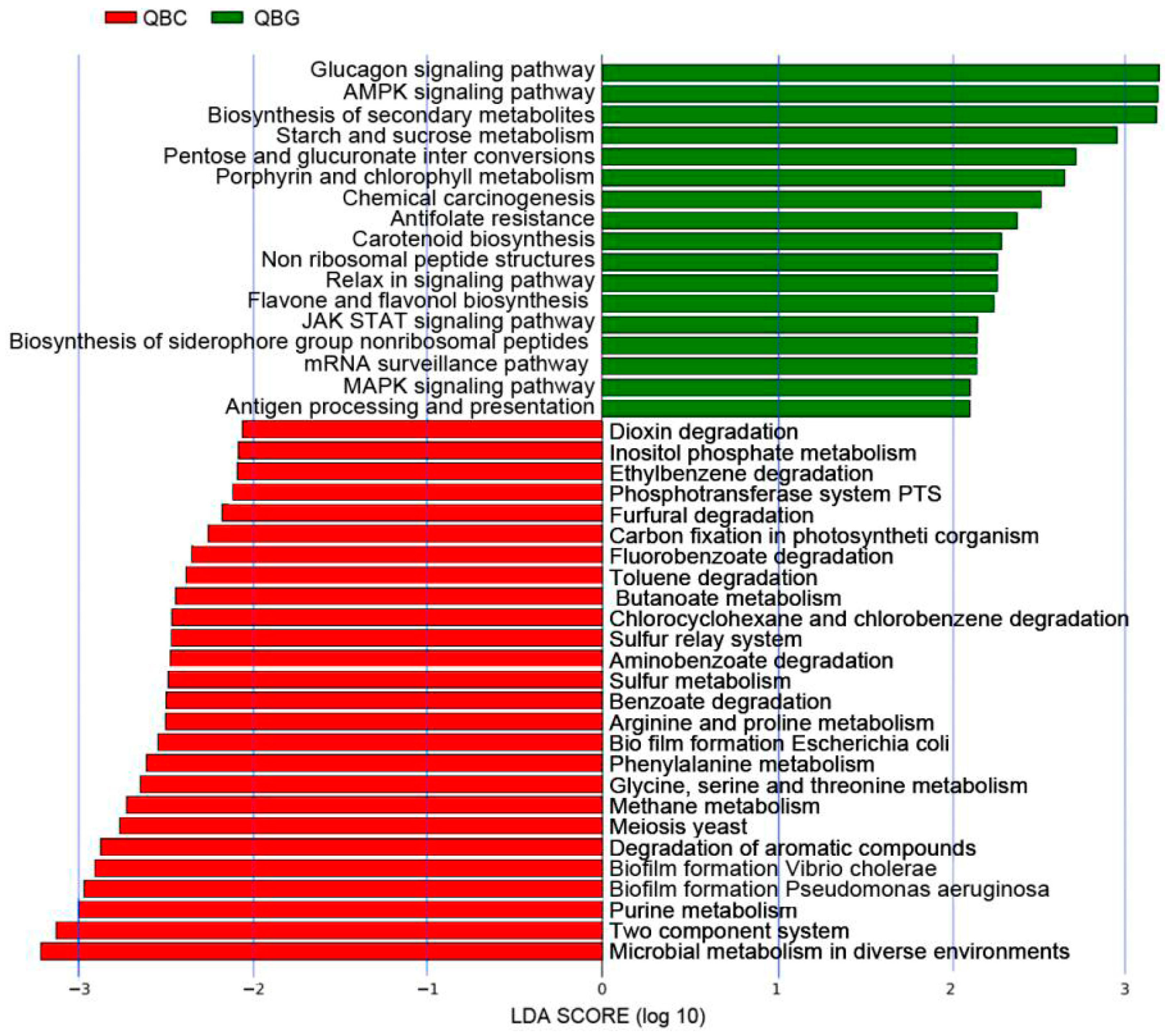 Diversity 17 00266 g006