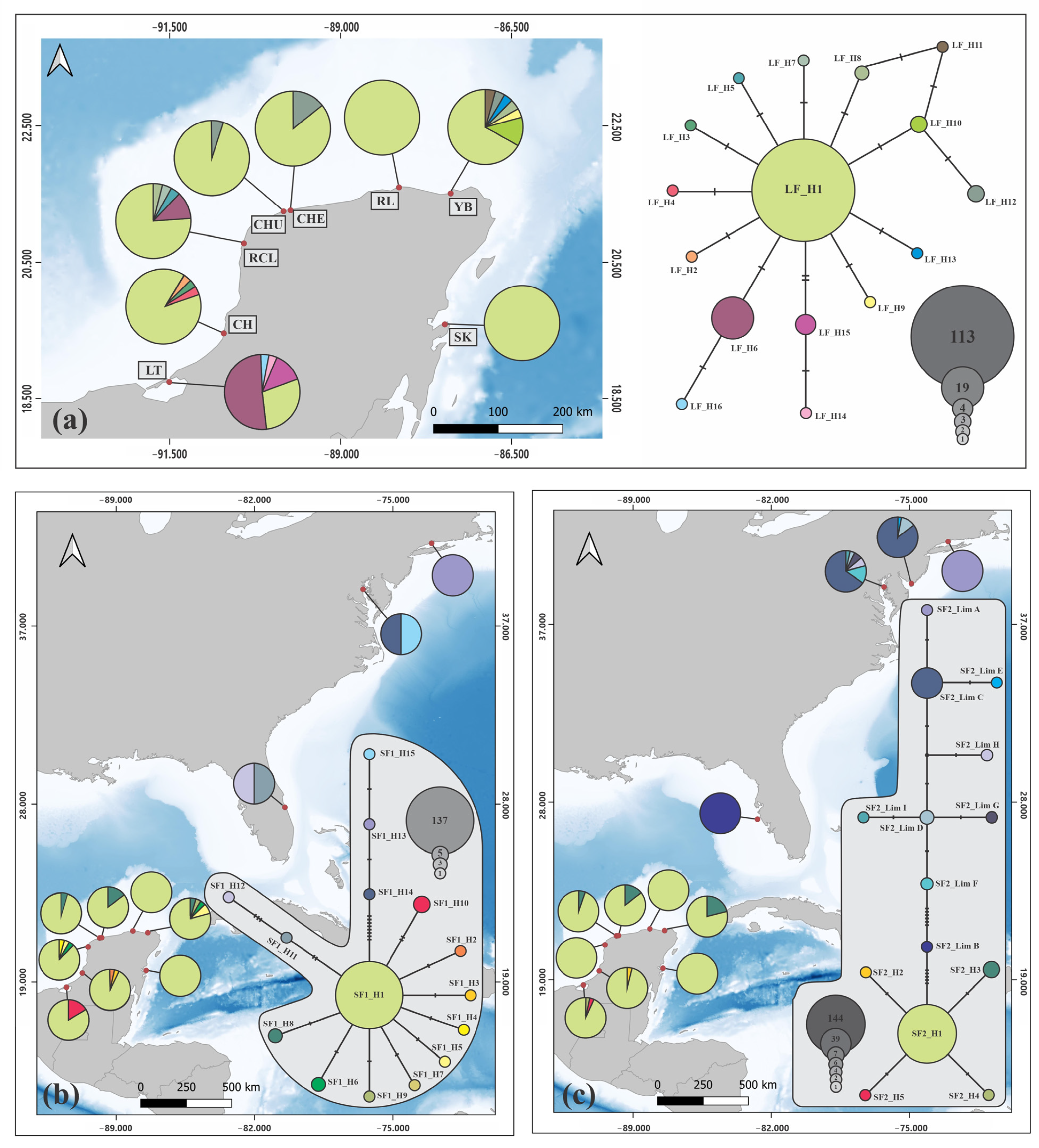 Diversity 17 00269 g004