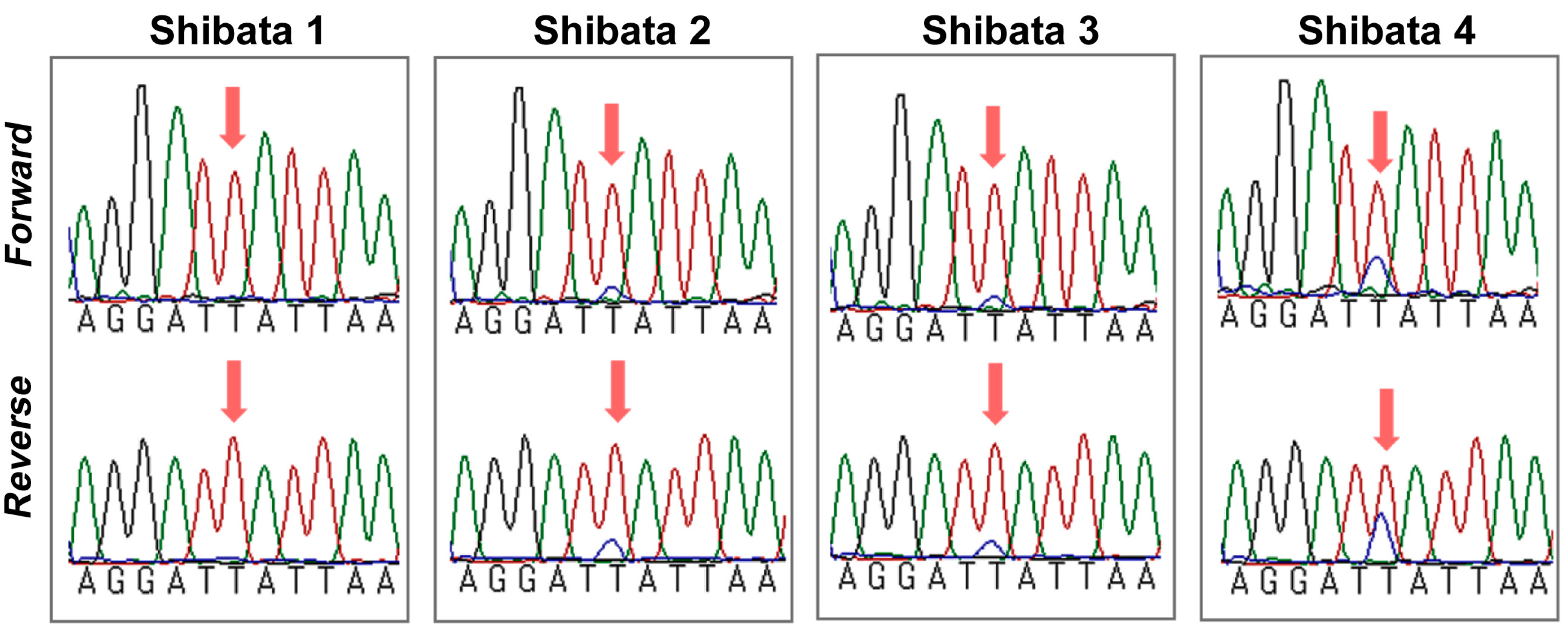 Diversity 17 00275 g004 Diversity 17 00275 g004