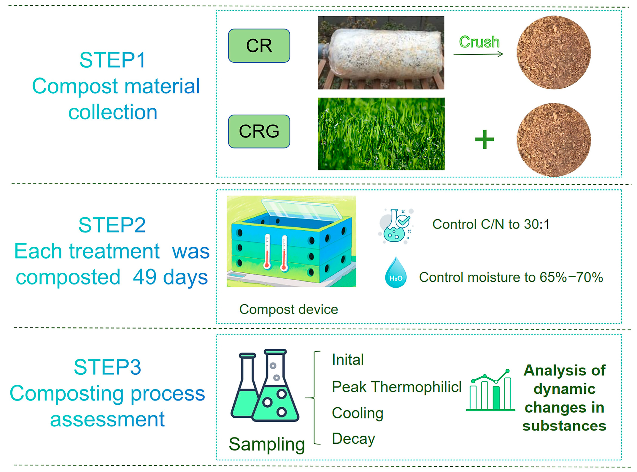 Diversity 17 00279 g002