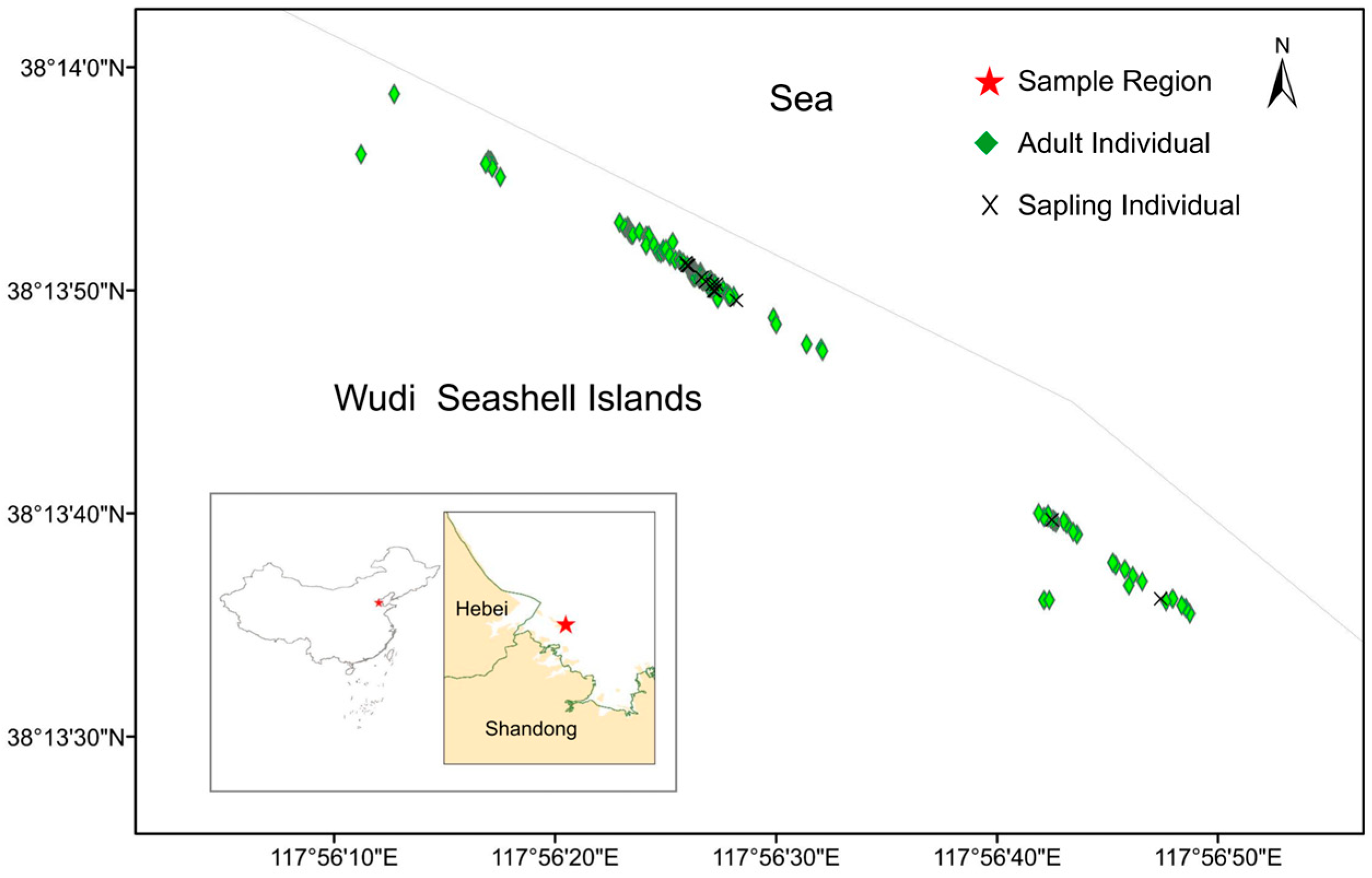 Diversity 17 00285 g001