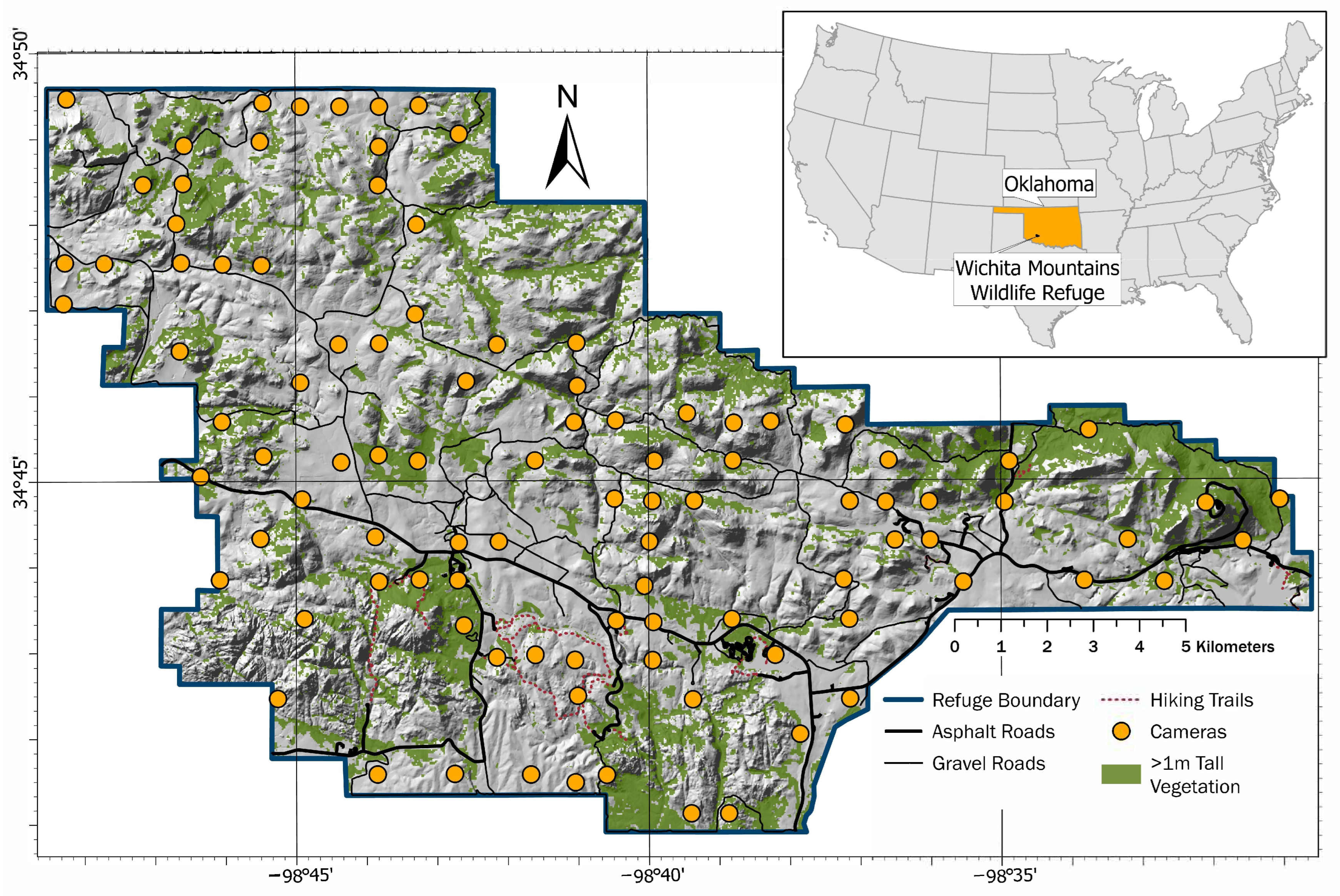 Diversity 17 00290 g002