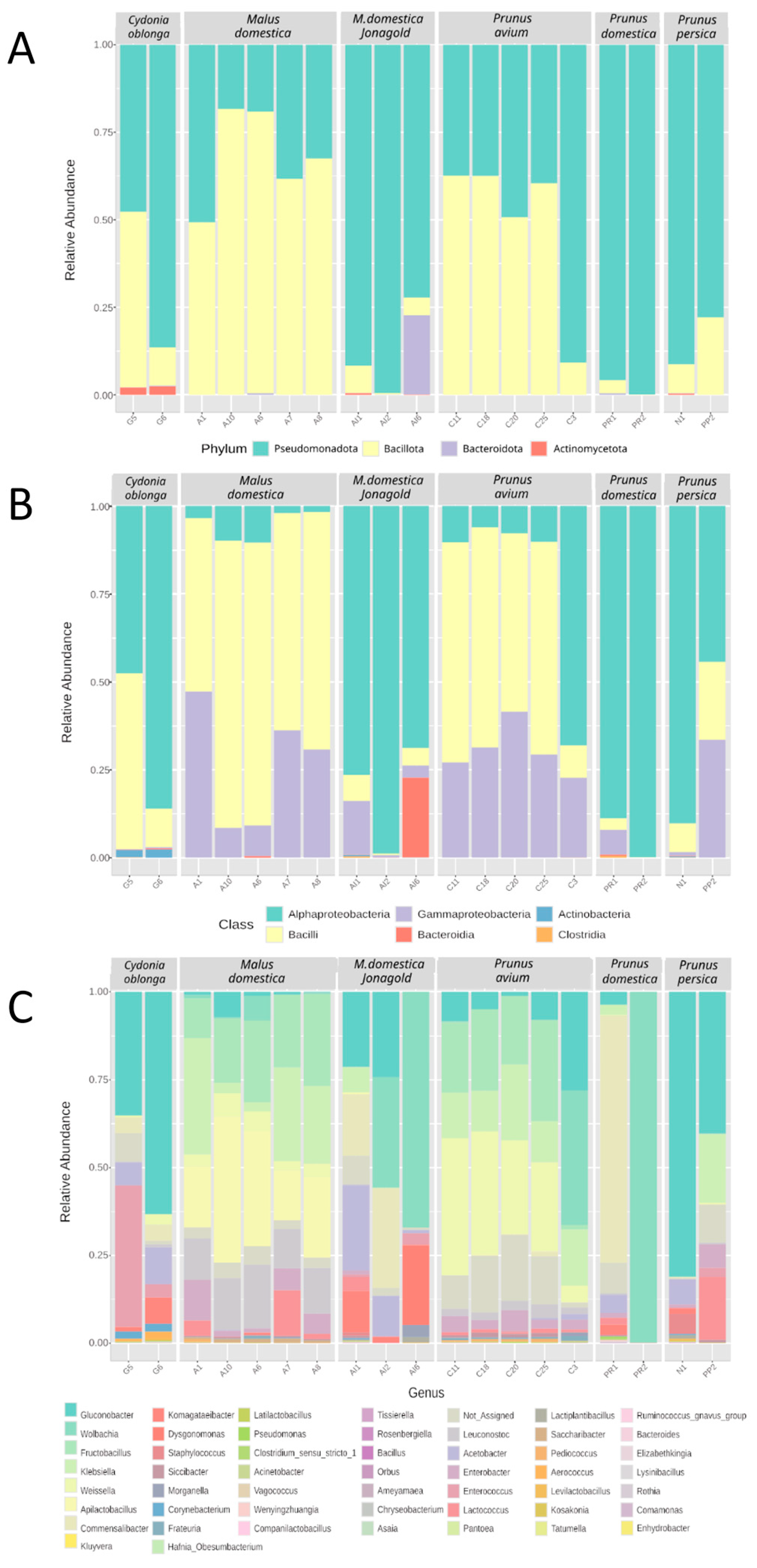 Diversity 17 00295 g005