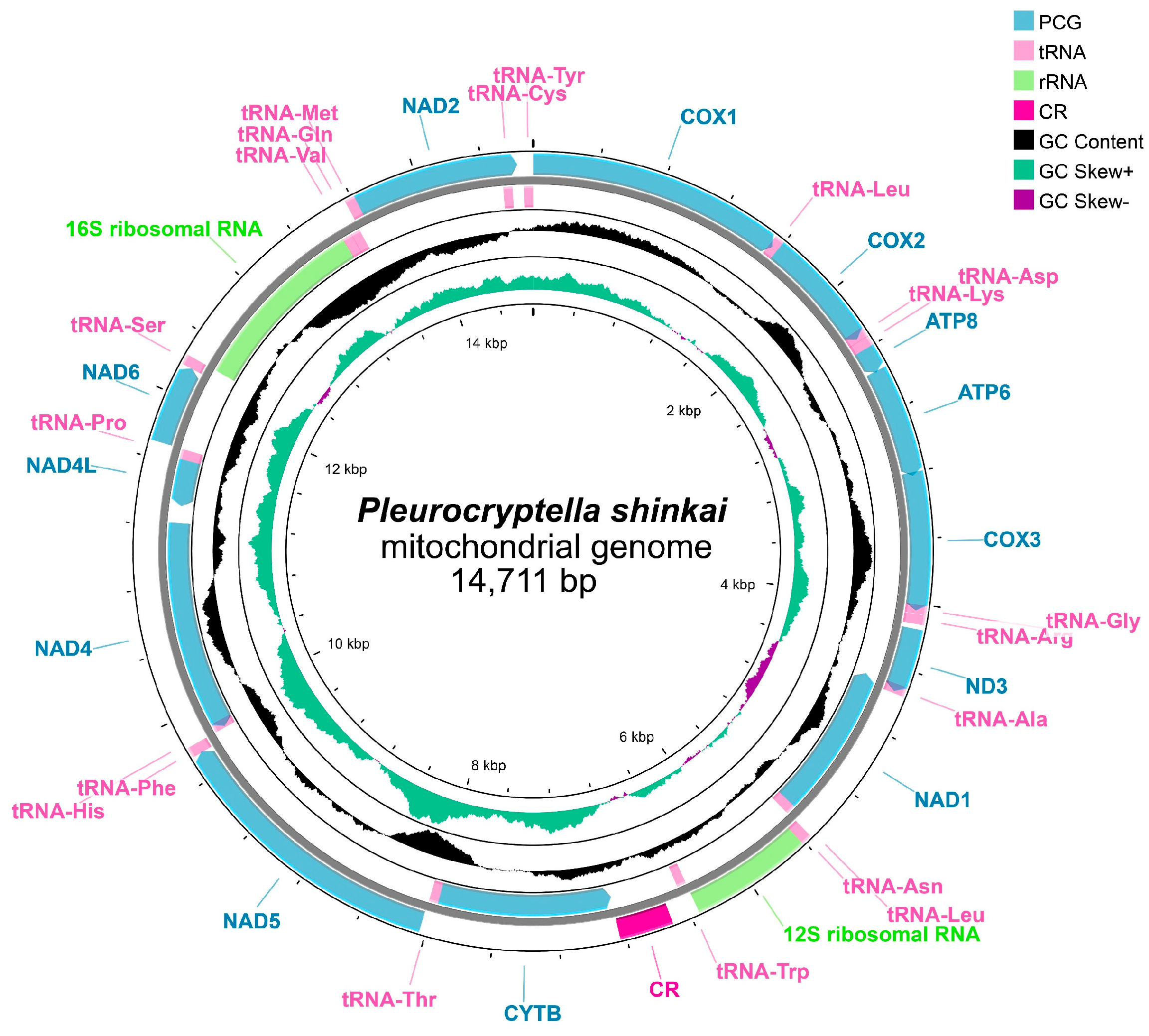 Diversity 17 00297 g003