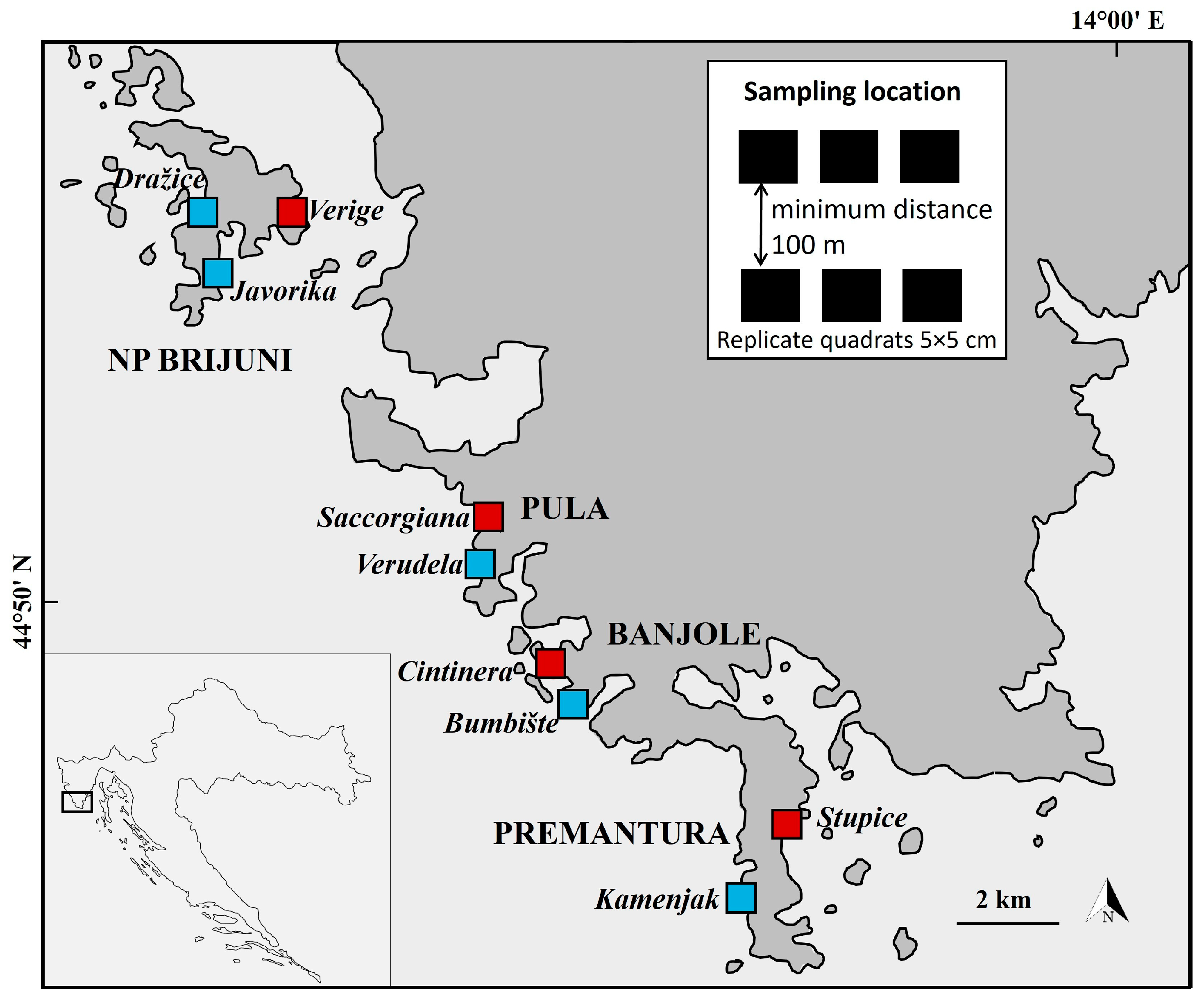 Diversity 17 00302 g001