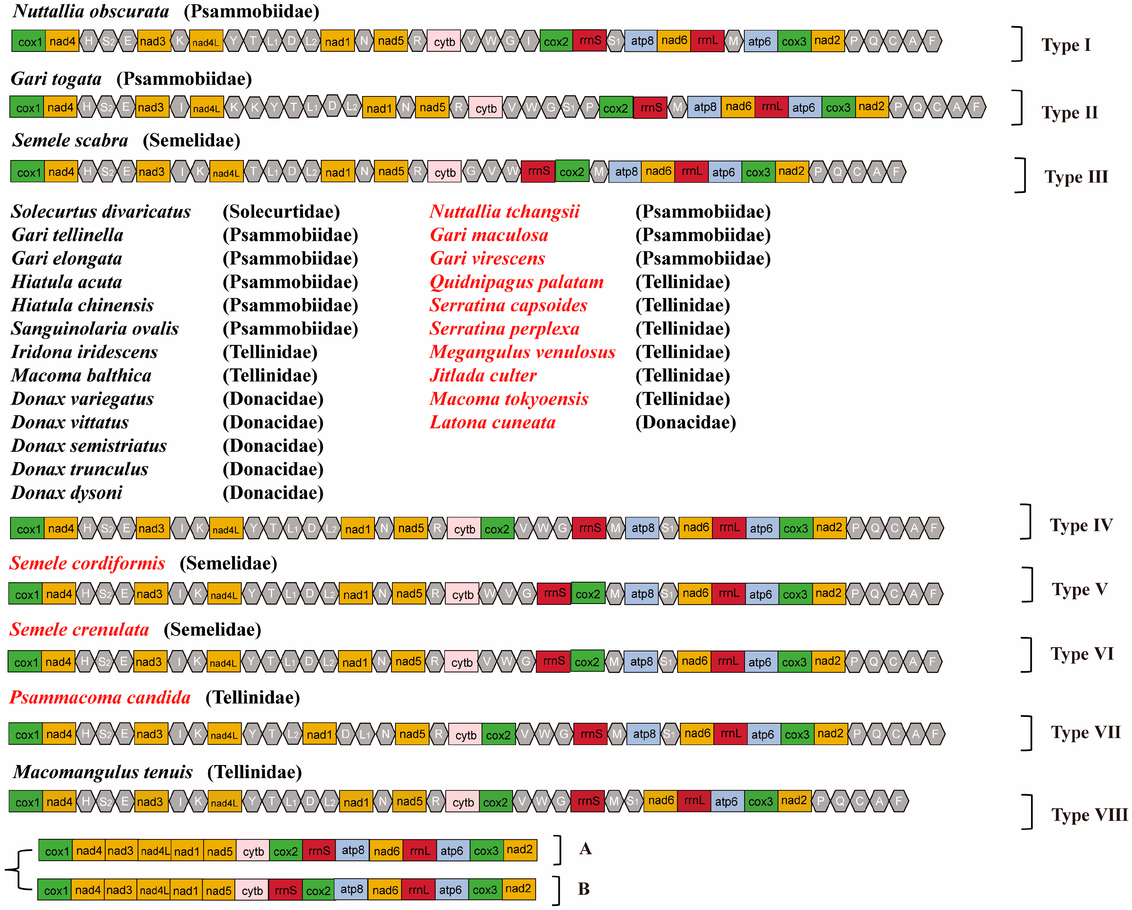 Diversity 17 00303 g002 Diversity 17 00303 g002