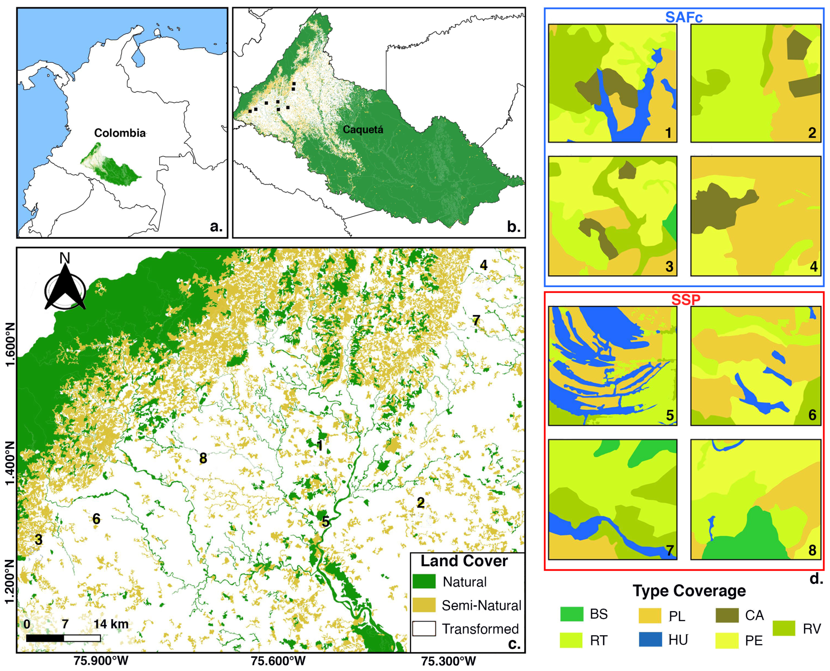Diversity 17 00305 g001