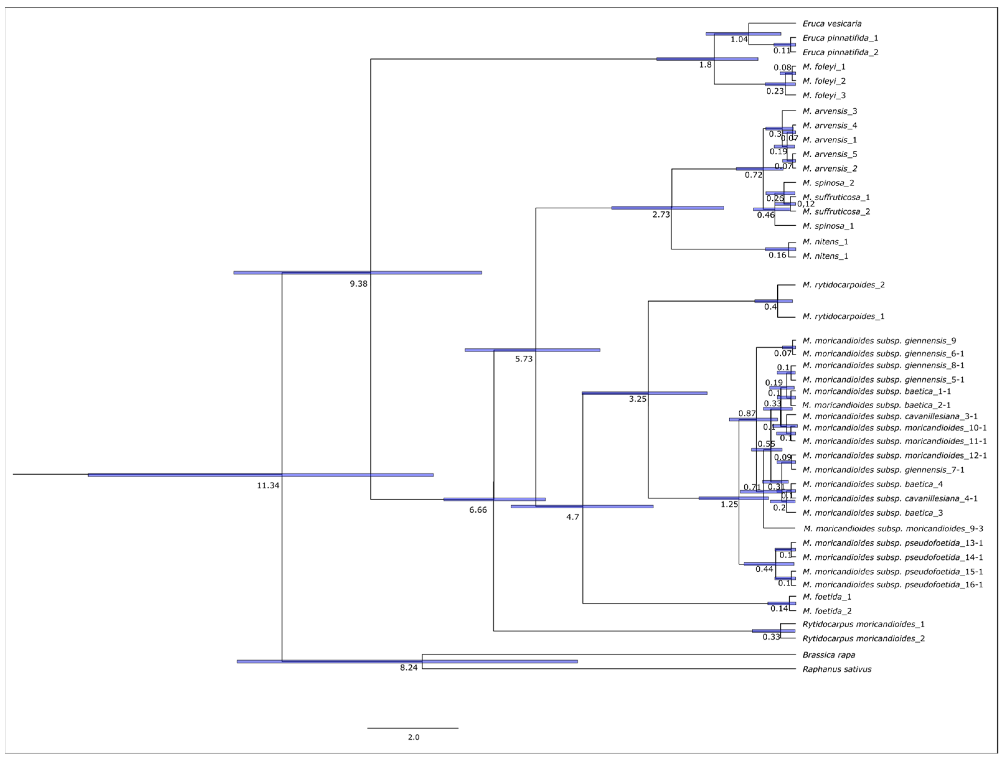 Diversity 17 00310 g005