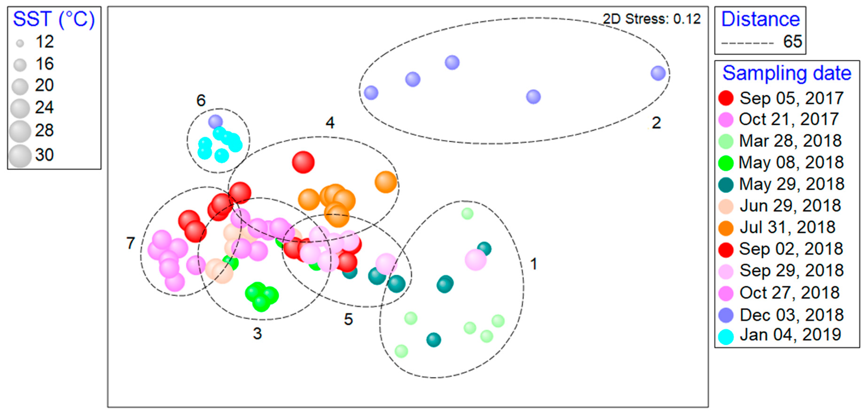 Diversity 17 00316 g008