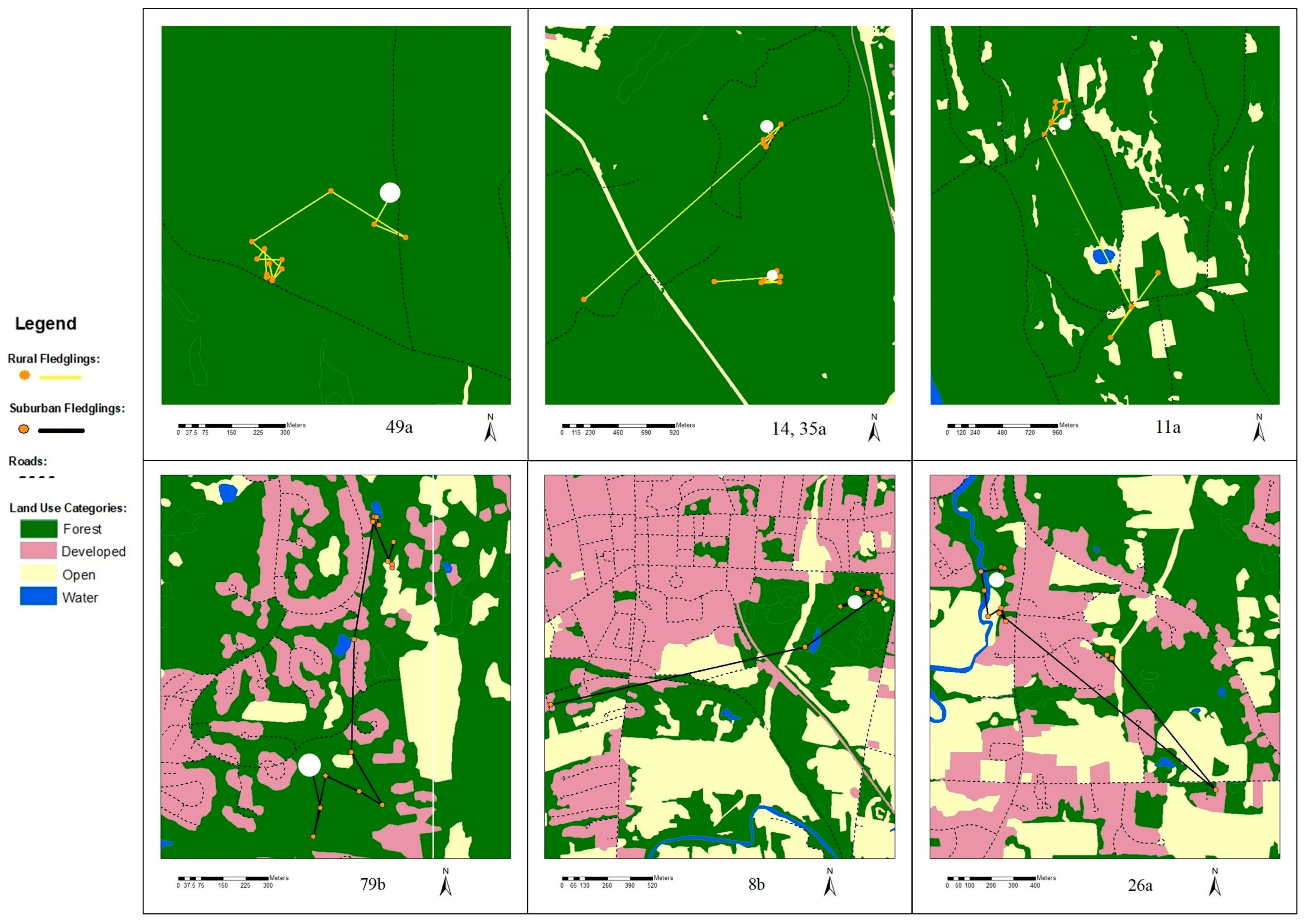 Diversity 17 00589 g005 Diversity 17 00589 g005