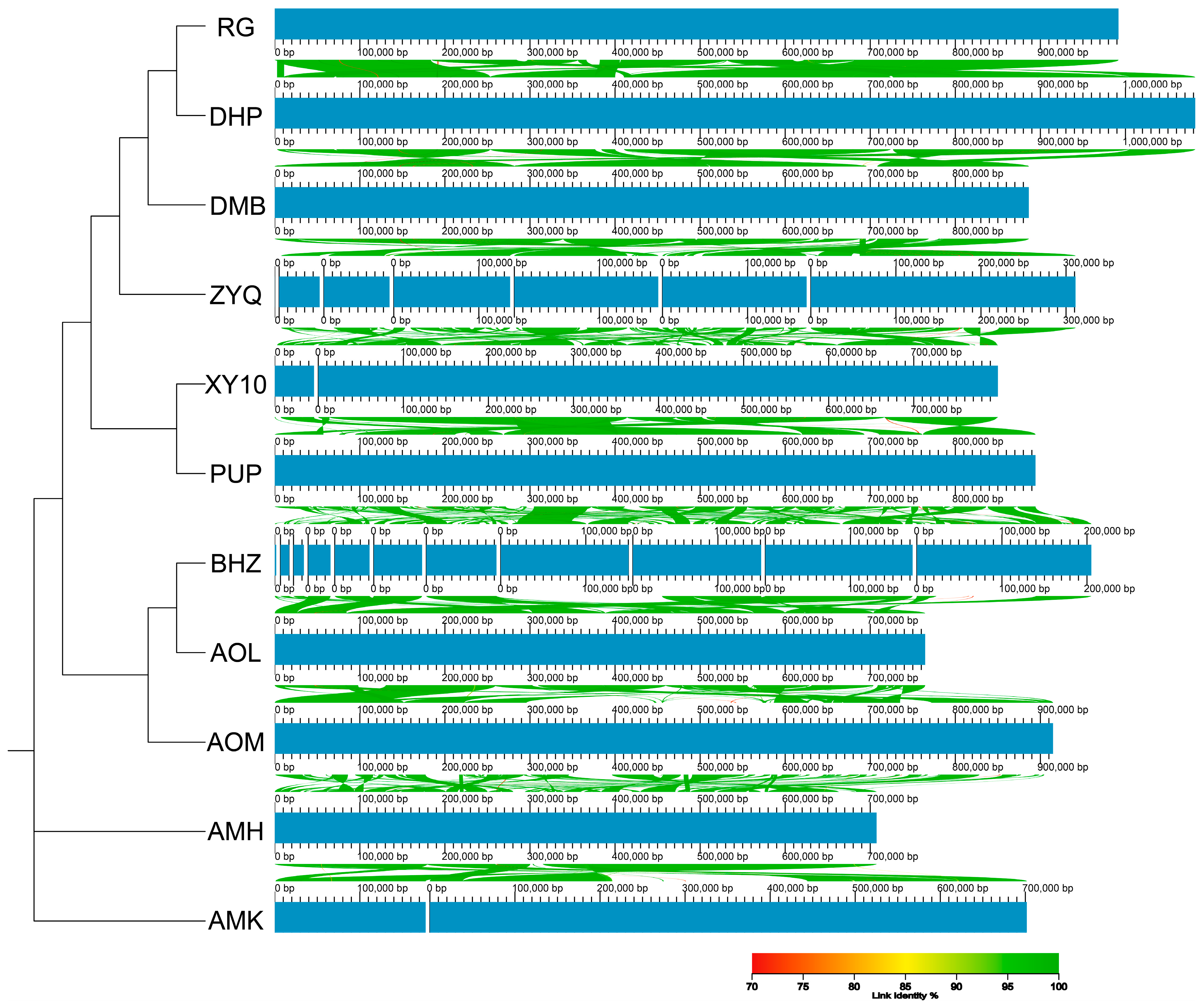 Diversity 17 00705 g002 Diversity 17 00705 g002