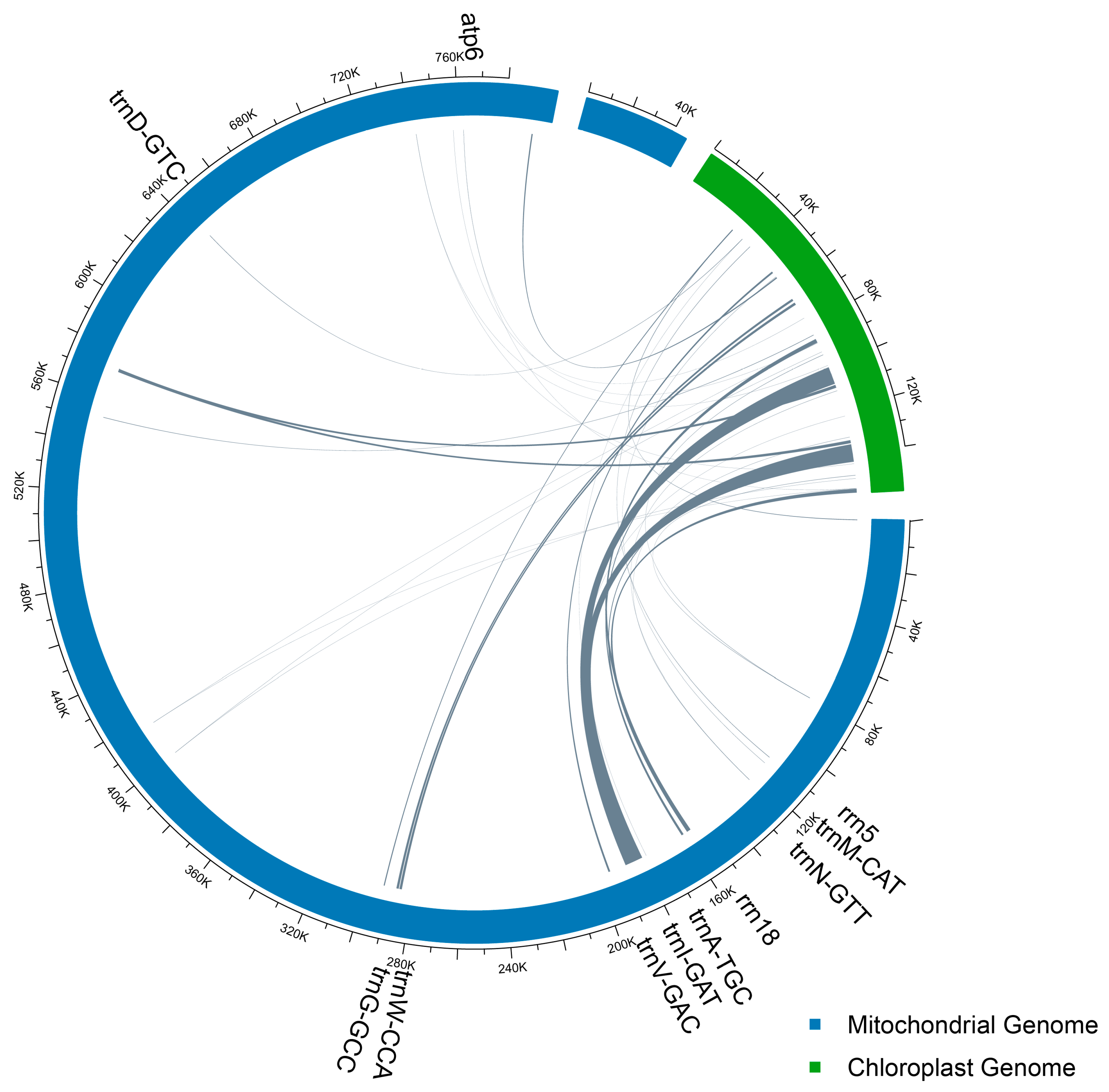 Diversity 17 00705 g004 Diversity 17 00705 g004