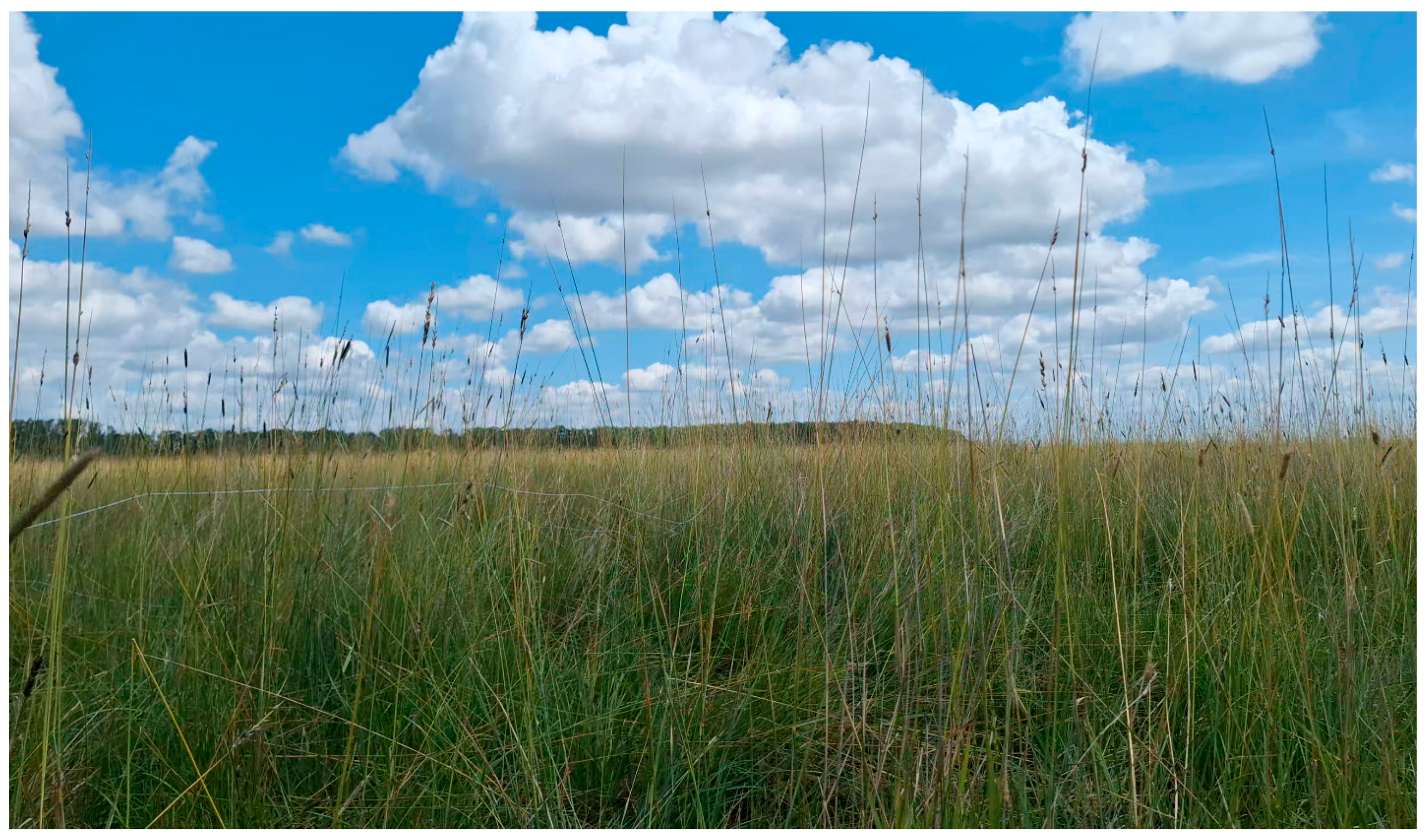 Diversity 17 00741 g003 Diversity 17 00741 g003